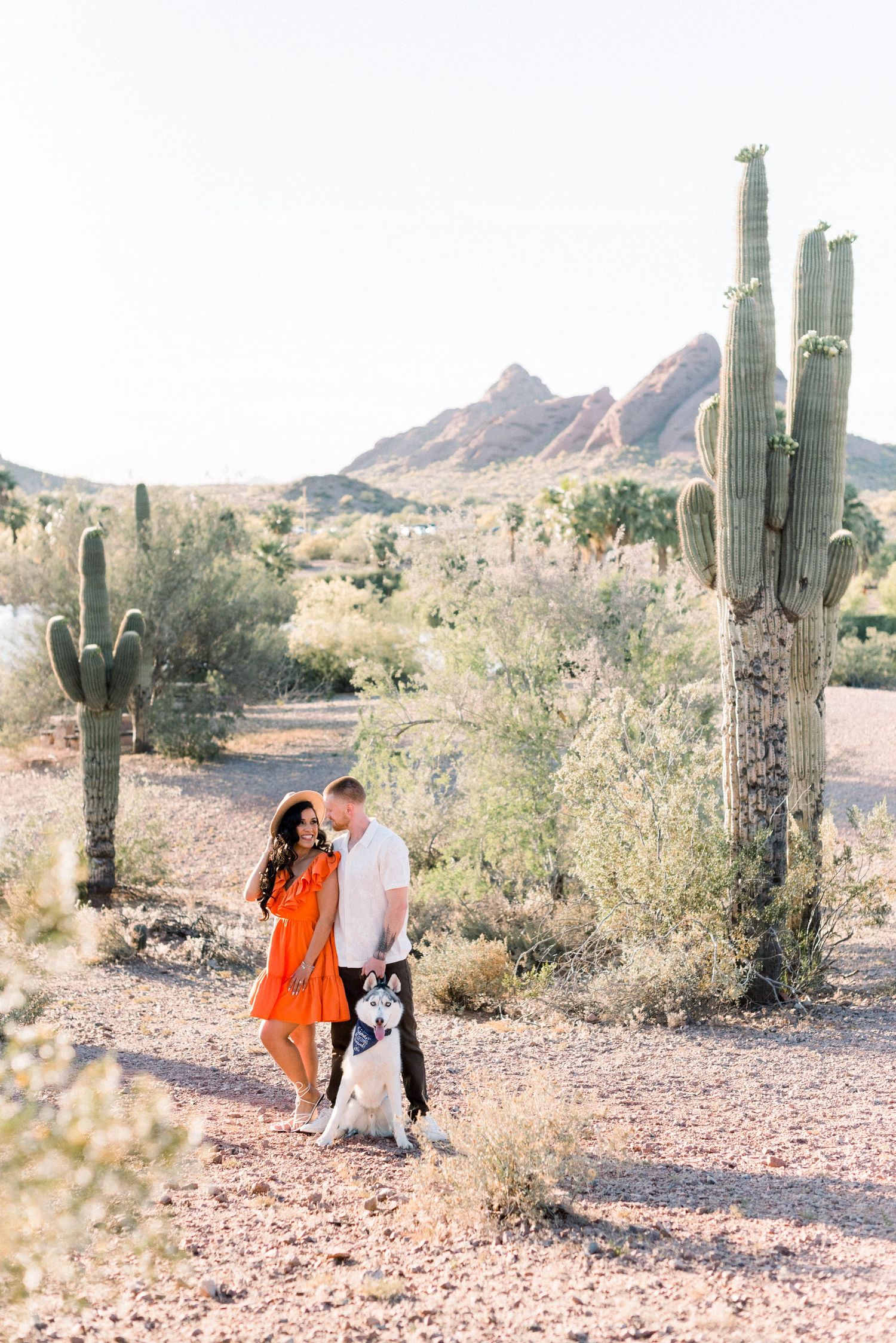 Desert engagement photo with saguaro cacti and husky dog in warm lighting.
