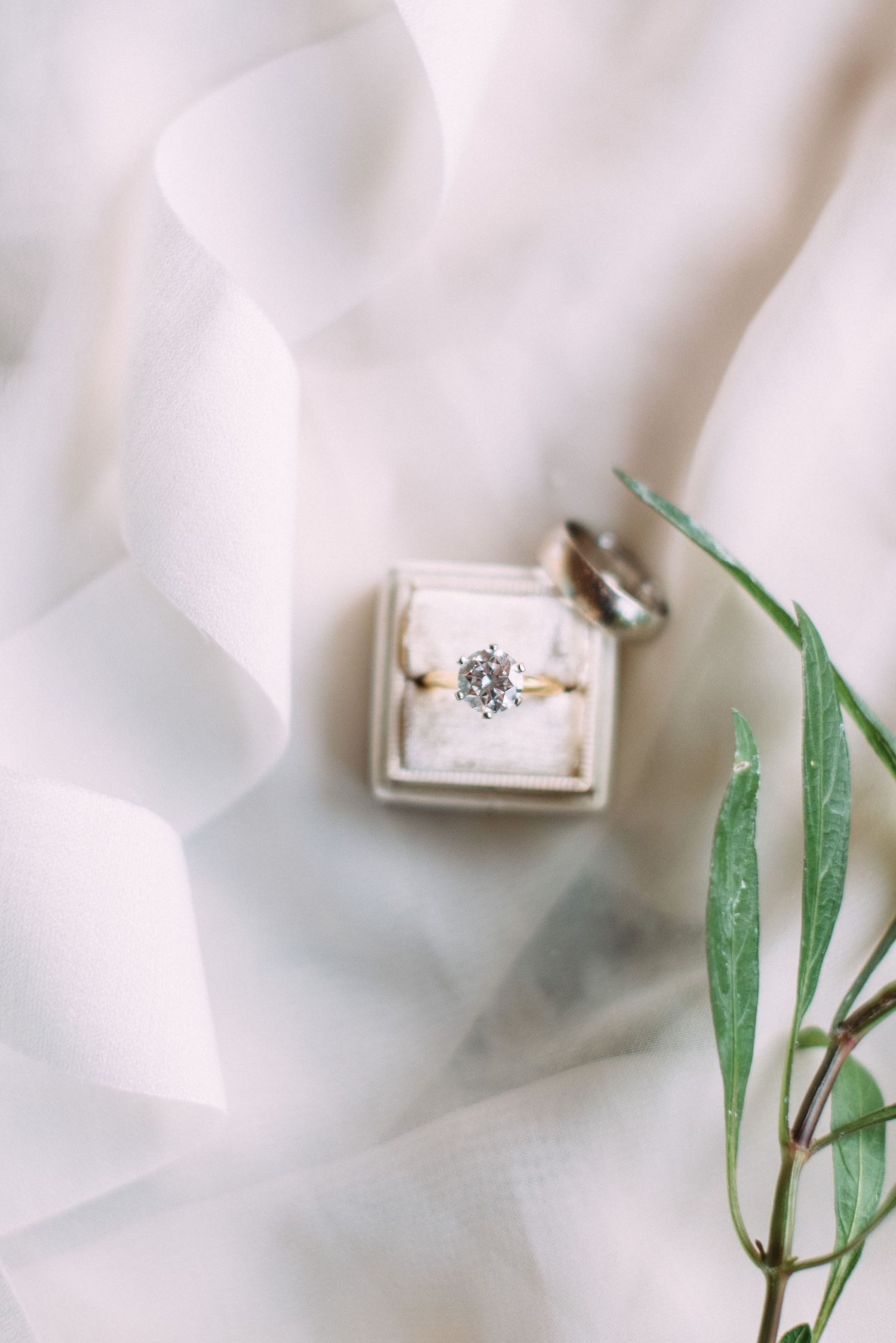 A delicate diamond engagement ring rests in a white jewelry box with a green leaf accent.