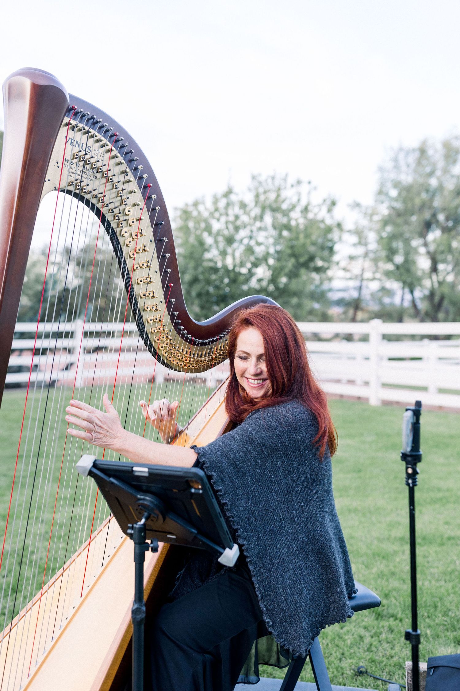 A musician plays a beautiful golden harp outdoors with sheet music on a stand.