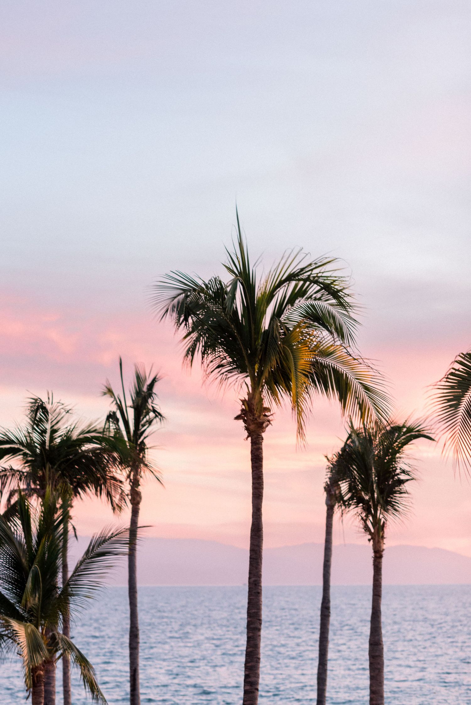 Palm trees silhouetted against pink and purple sunset sky over ocean.