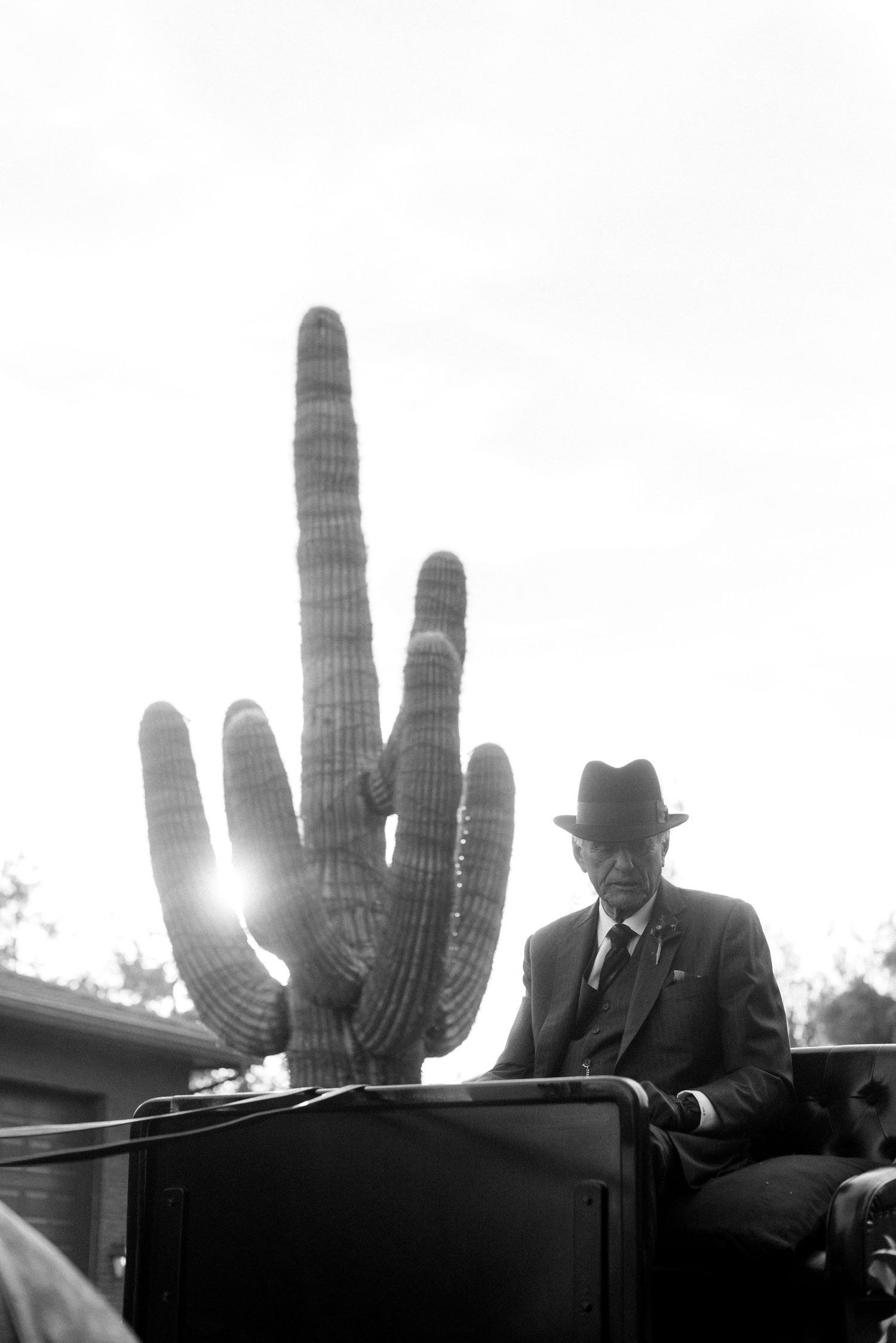 A vintage black and white photo showing a large saguaro cactus next to a parked car in the desert.
