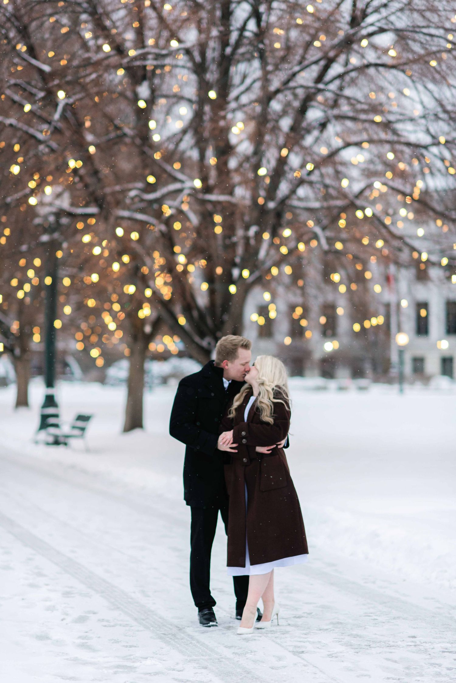 Couple enjoys romantic winter moment under trees decorated with twinkling lights in snowy park.
