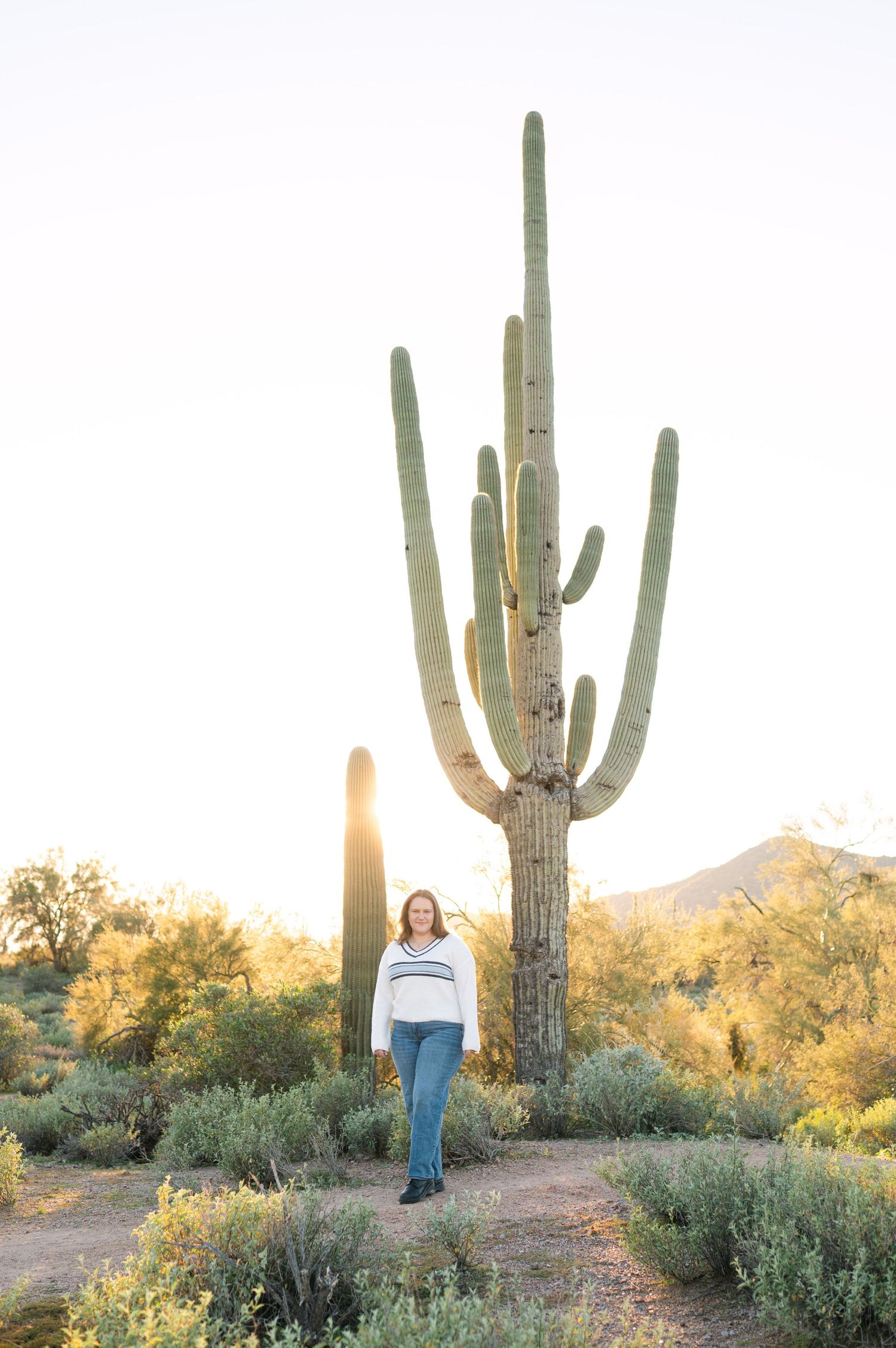 Three desert landscape photos showing a person walking among tall saguaro cacti at sunset in the Arizona desert.