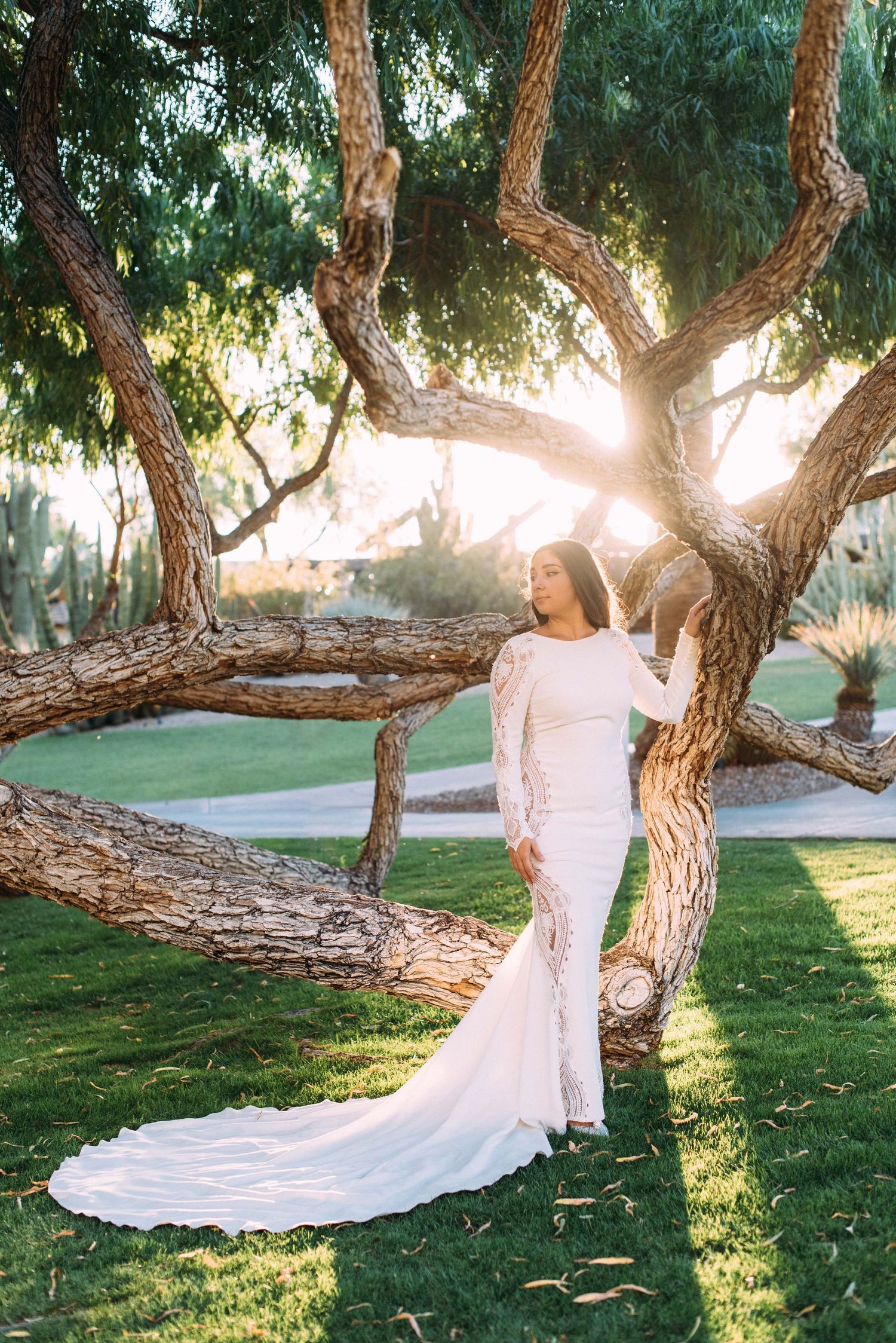 A stunning bride in a long-sleeved white lace gown poses by a twisted tree trunk at golden hour.