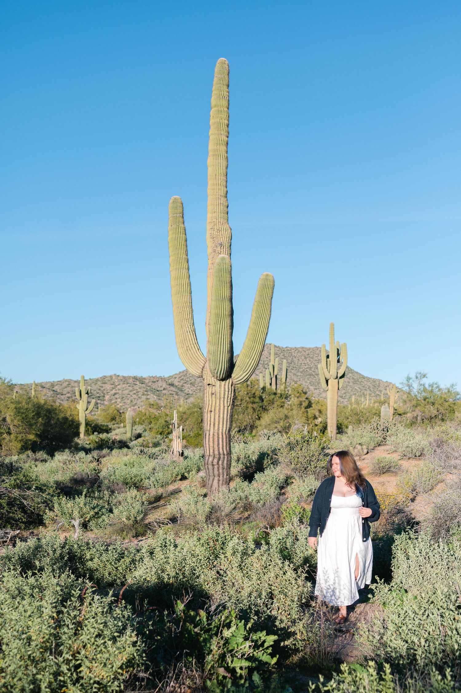 Someone in a white dress and dark jacket stands on a desert trail next to towering saguaro cacti against a blue sky.