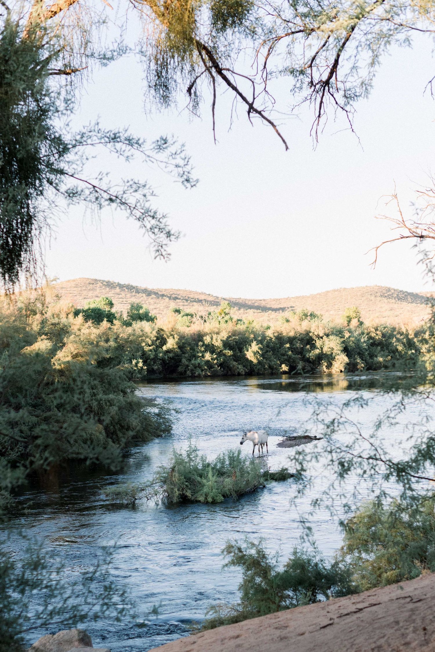 A serene river landscape with trees and mountains in the background during golden hour.
