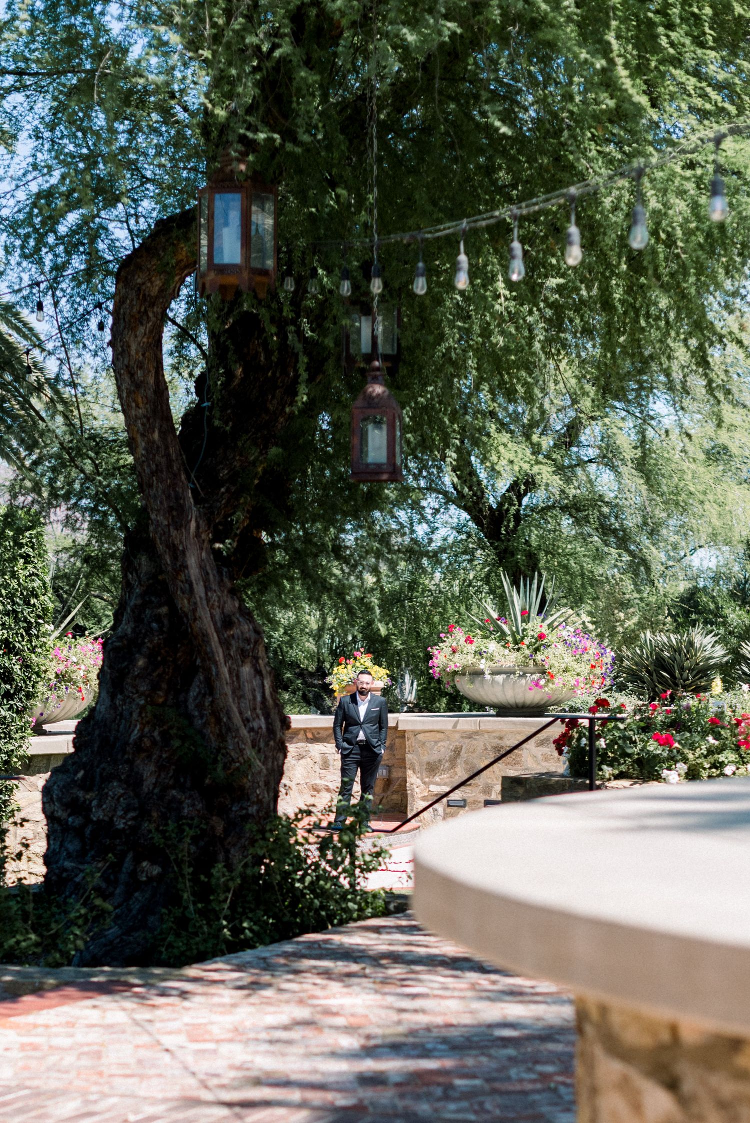 Rustic lanterns hanging from a large tree branch in a garden setting.