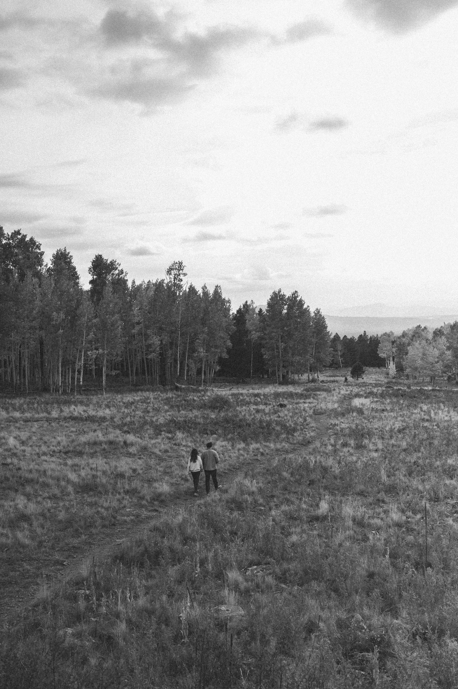 A black and white landscape photo shows two figures walking through a vast open field with pine trees in the distance.