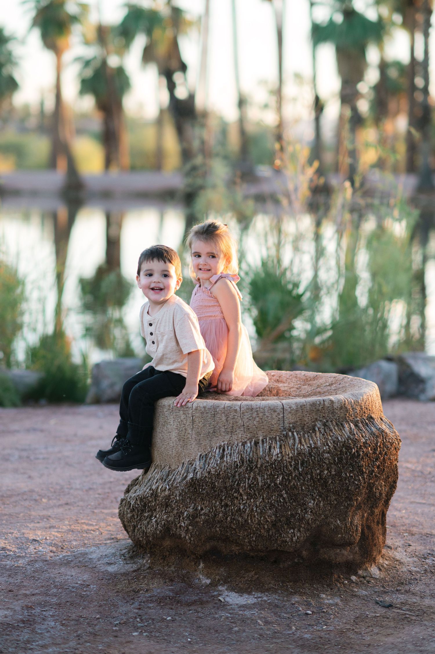 Children sit together on a rustic tree stump in a natural outdoor setting during golden hour.