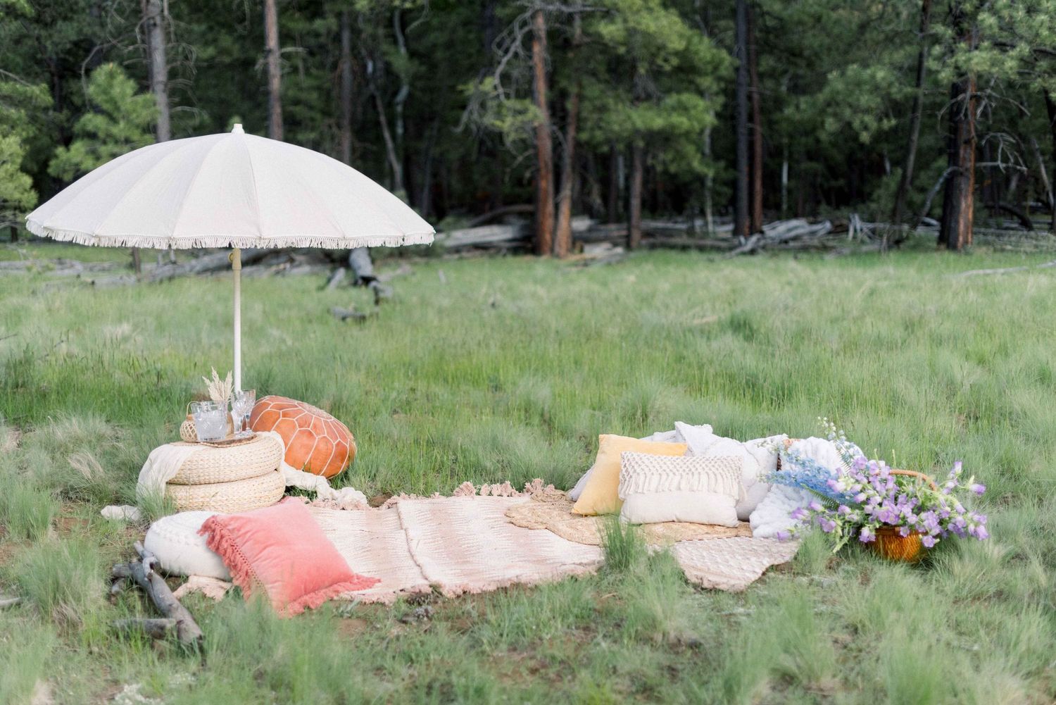Cozy picnic setup with white umbrella, pillows and blankets in a serene meadow.