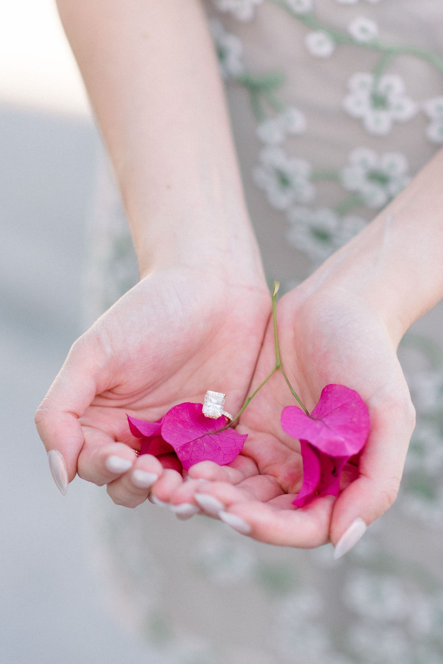 Hands holding bright pink flower petals and a delicate engagement ring.