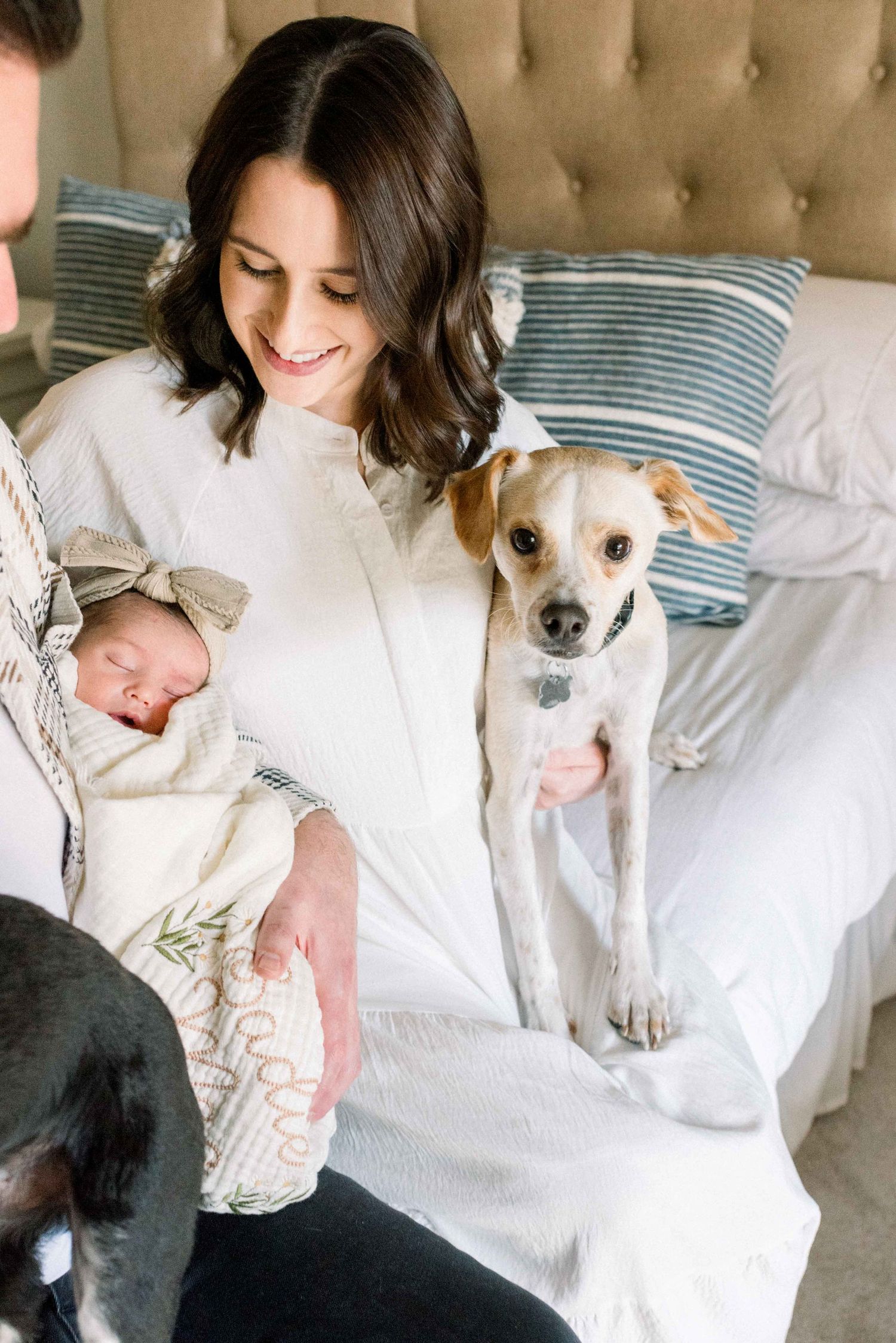Candid family moment with newborn baby and tan dog on tufted headboard bed.