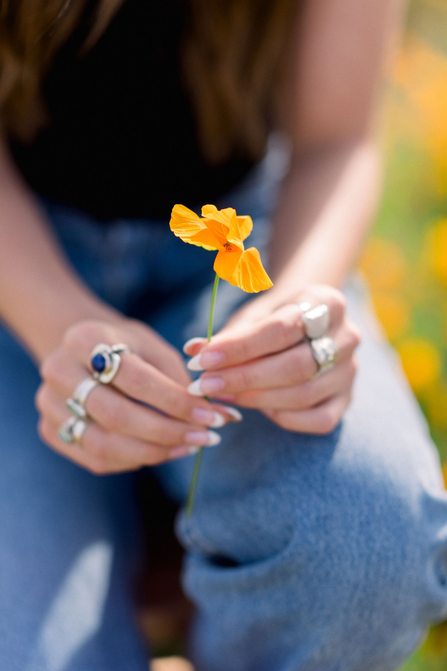 Hands holding a single orange poppy flower while wearing multiple rings.