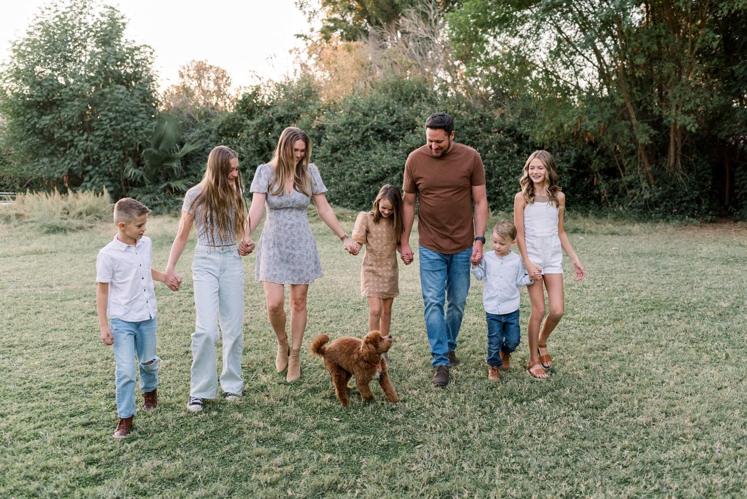 Family and their brown dog walking together through a grassy field at sunset.