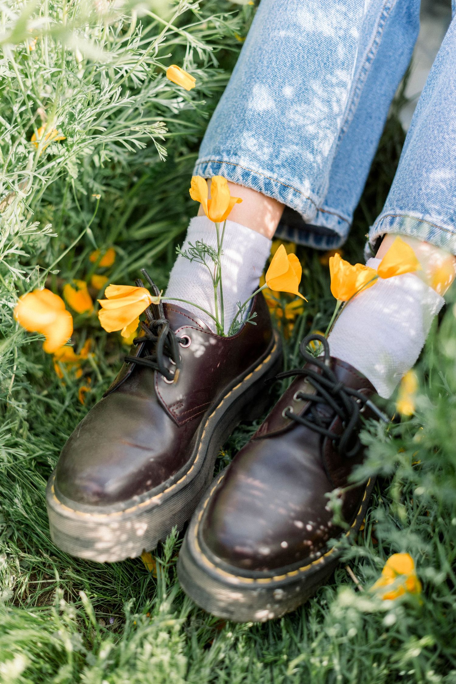 Dark leather boots and jeans among orange poppies and green foliage.