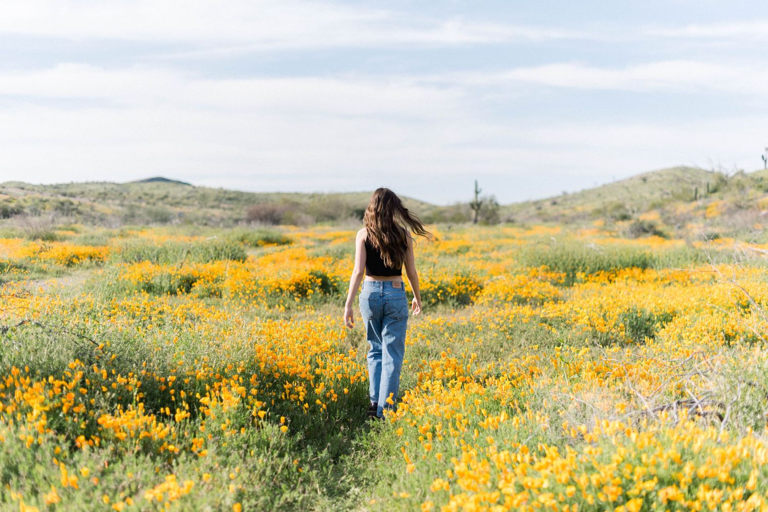 A figure walks through a vast field of yellow wildflowers under blue skies.