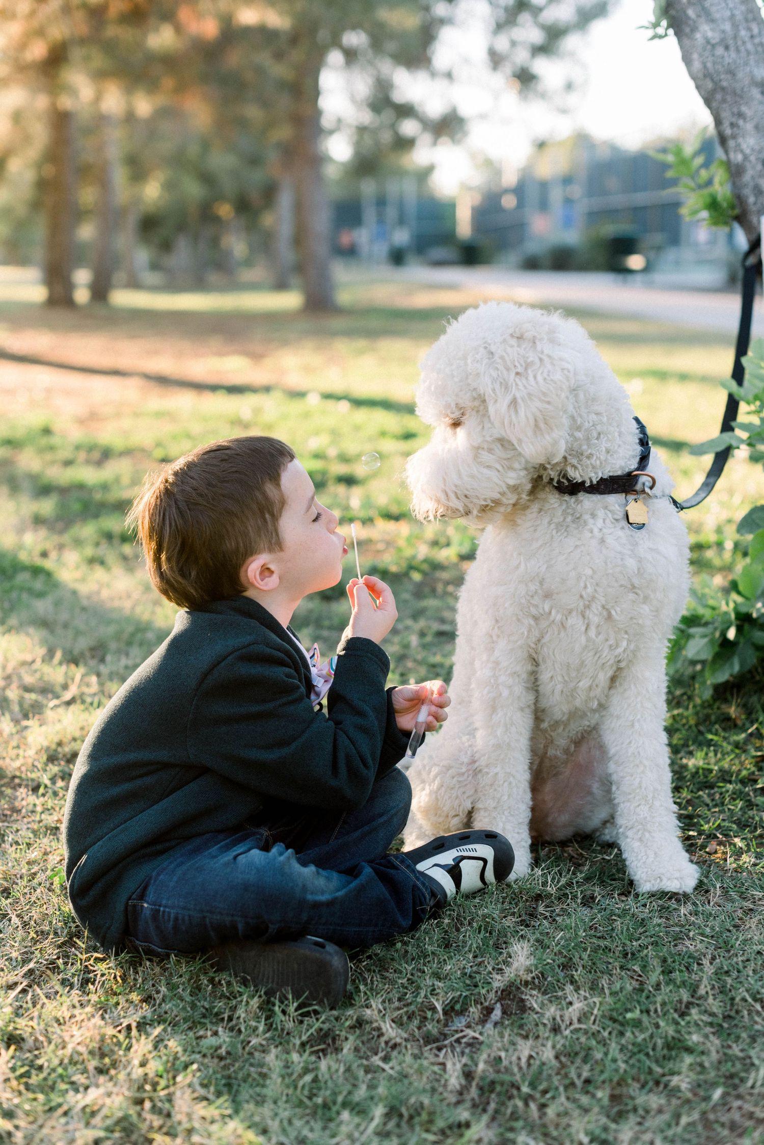 A blow blowing bubbles to his dog
