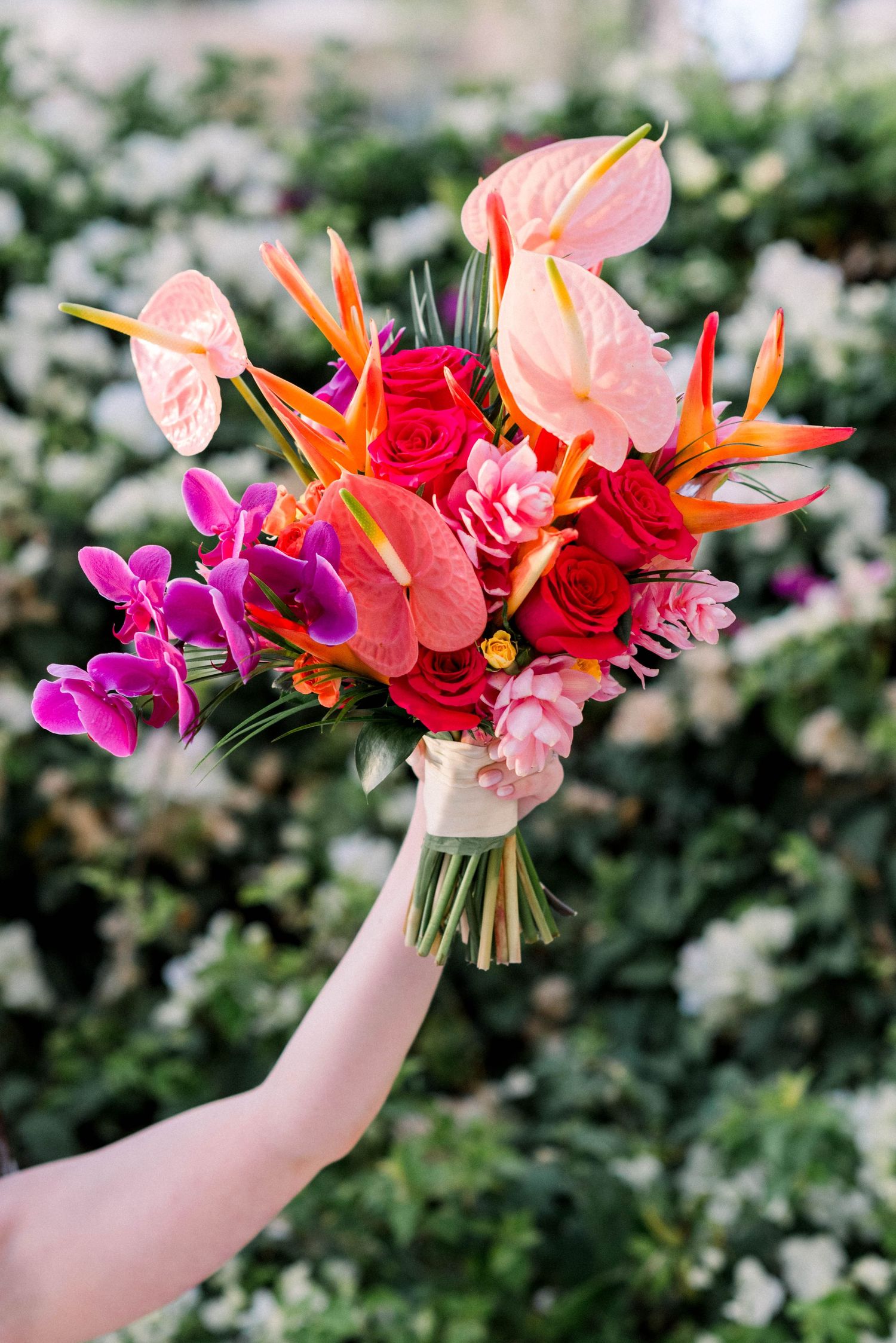 Vibrant tropical wedding bouquet with birds of paradise, anthurium, roses and orchids against greenery.