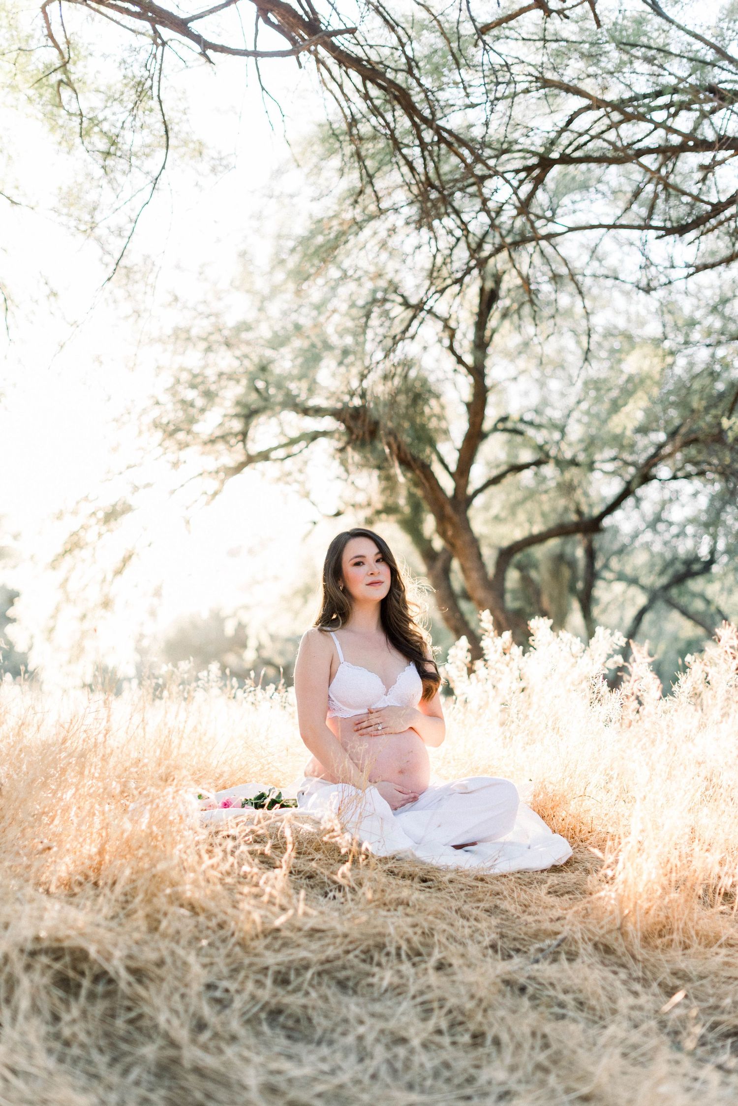 A dreamy outdoor portrait session in a sun-drenched field with tall golden grass and soft natural lighting.