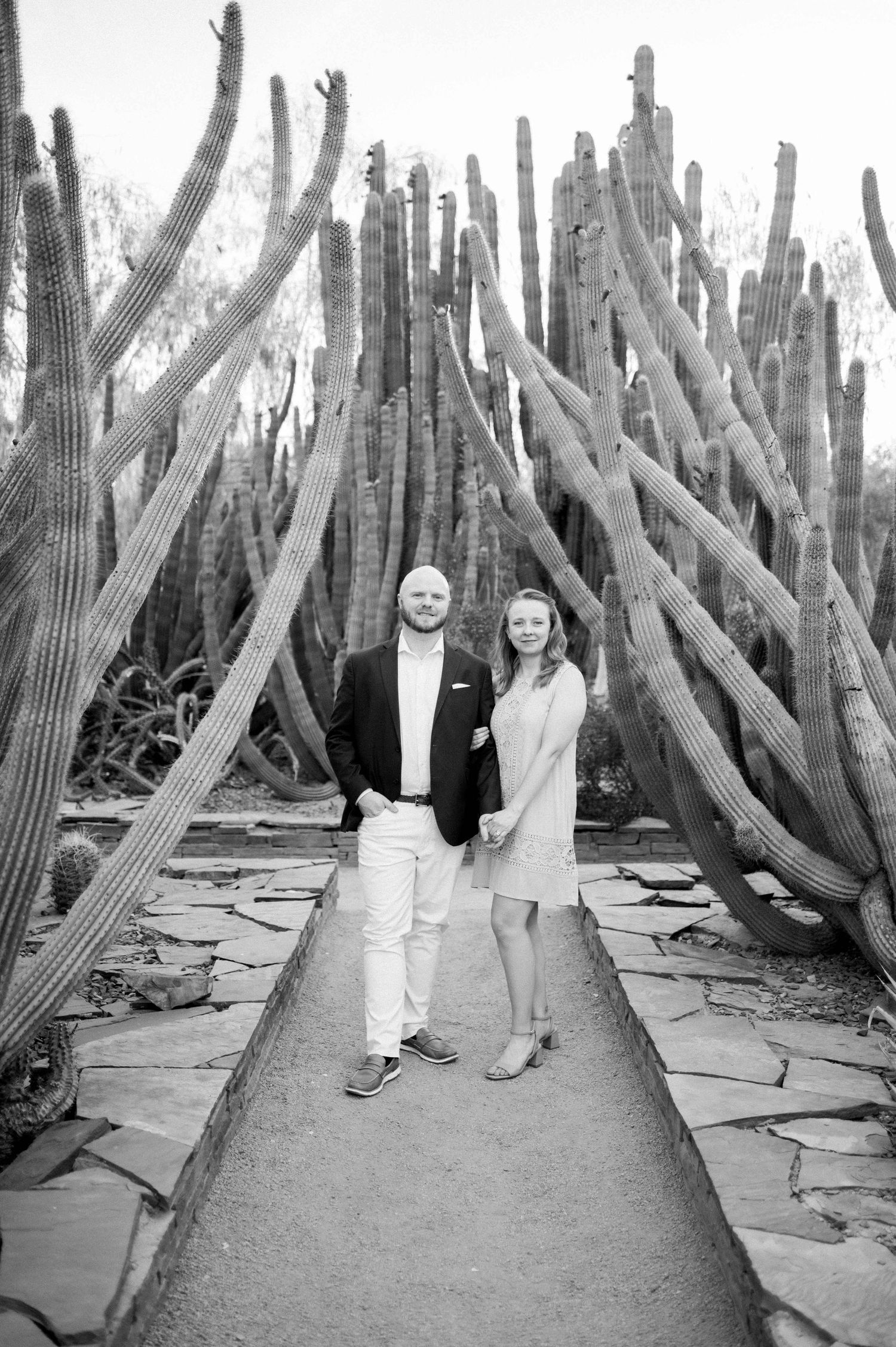 A black and white photograph showing two people standing on a path surrounded by tall saguaro cacti in a desert garden.