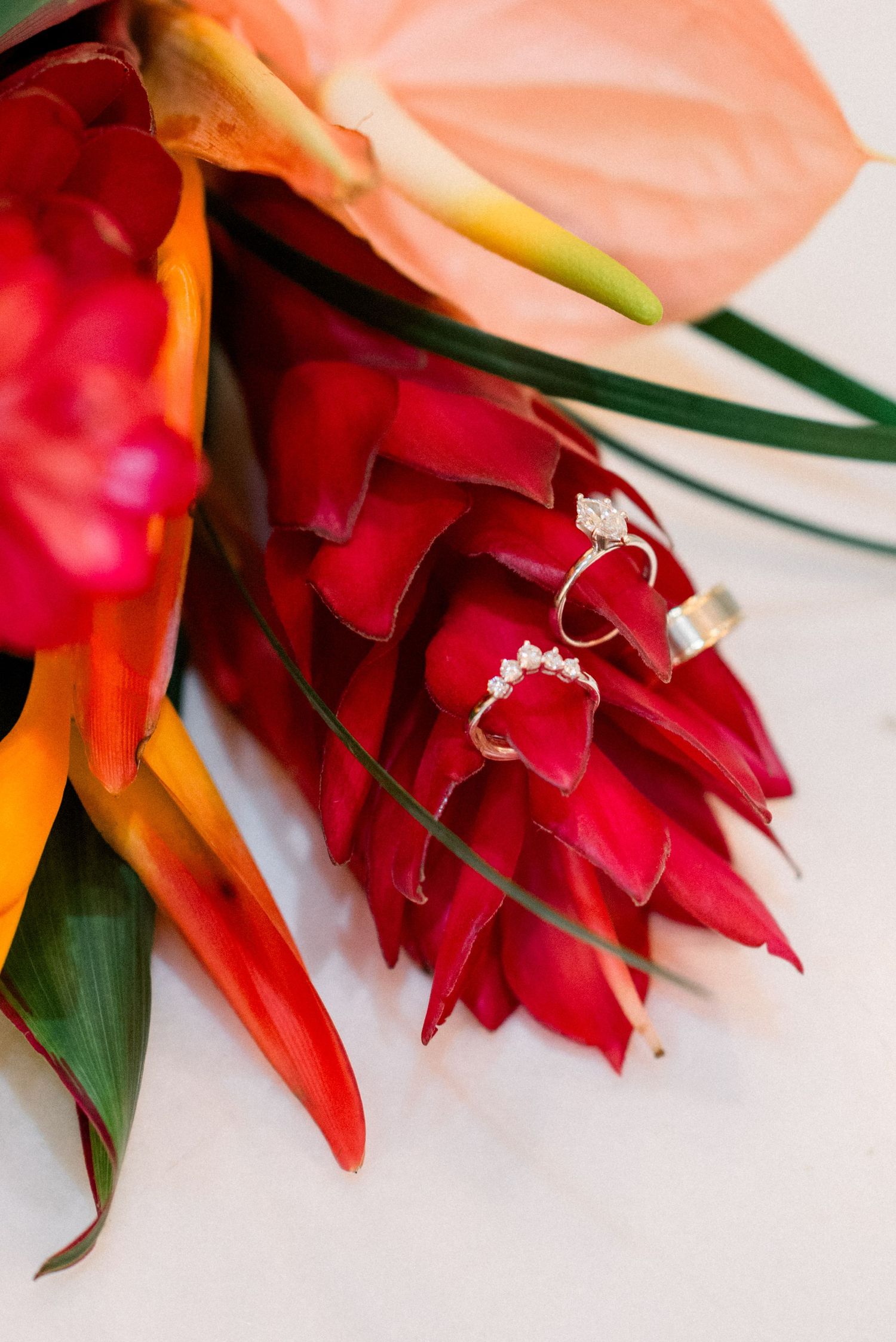 Diamond engagement rings nestled among vibrant red tropical flowers and green foliage.