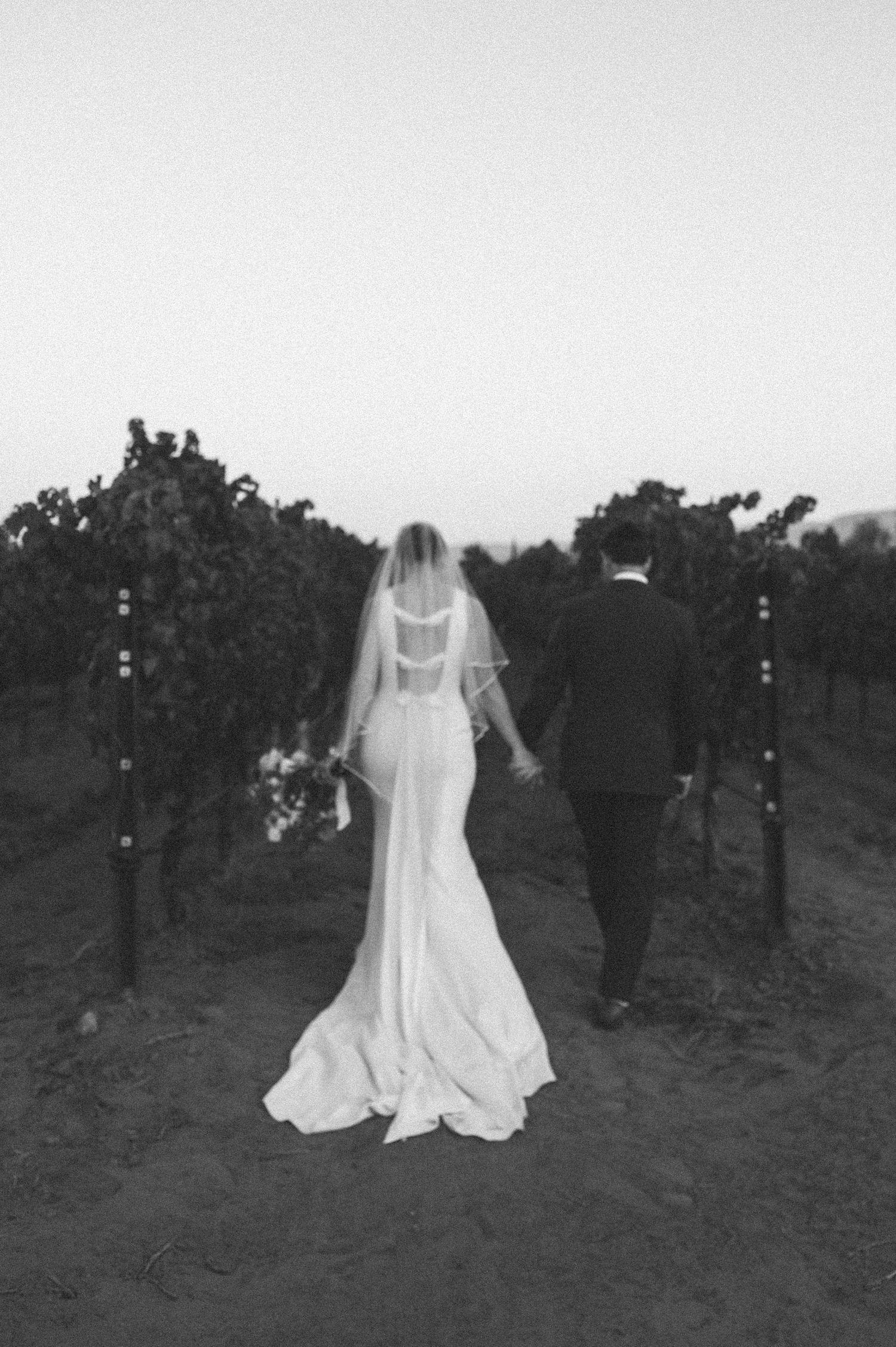 Ethereal black and white photo of a bride standing in a vineyard.