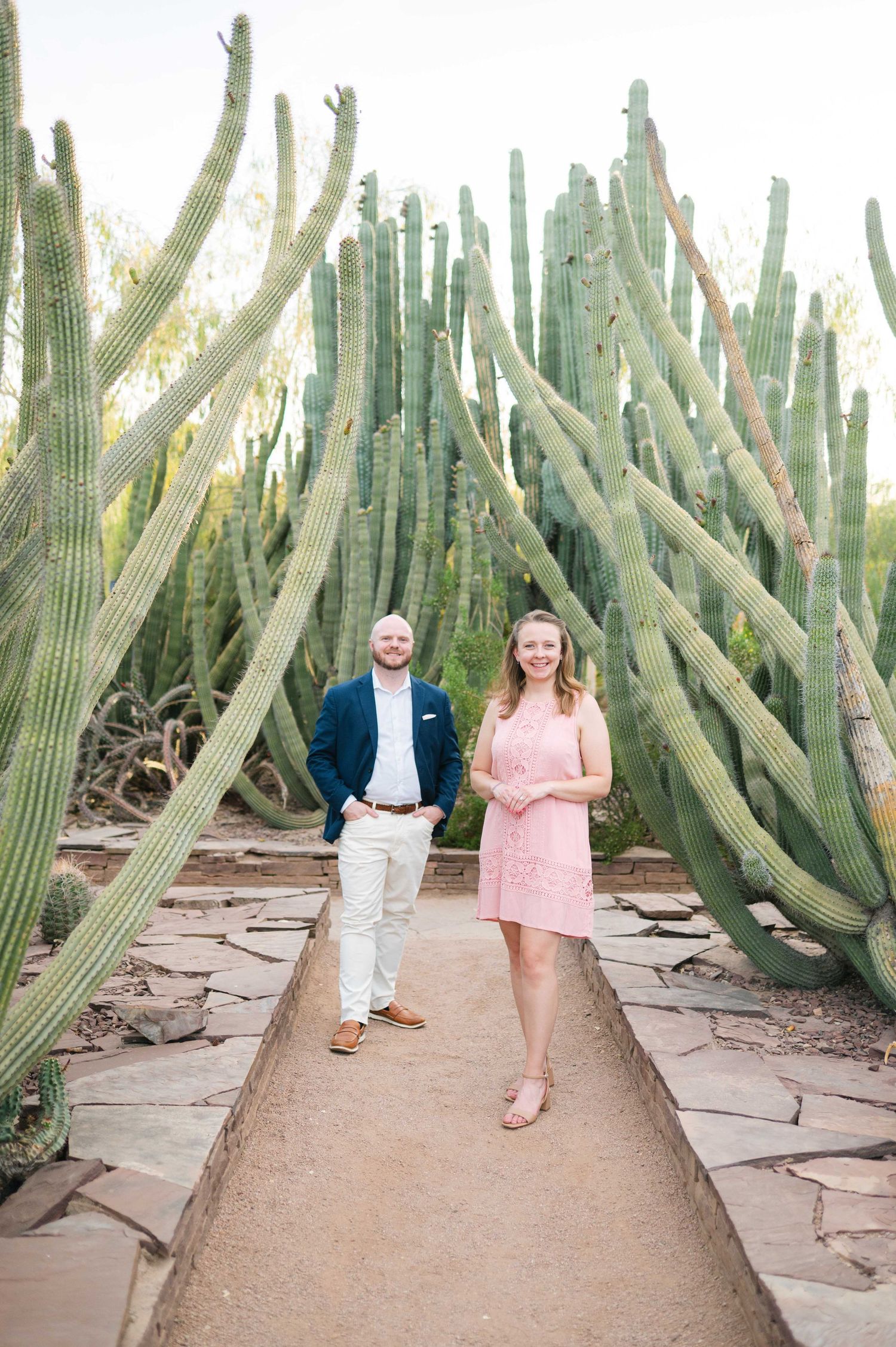A couple walks together through a desert garden path lined with tall saguaro cacti and stone pavers.