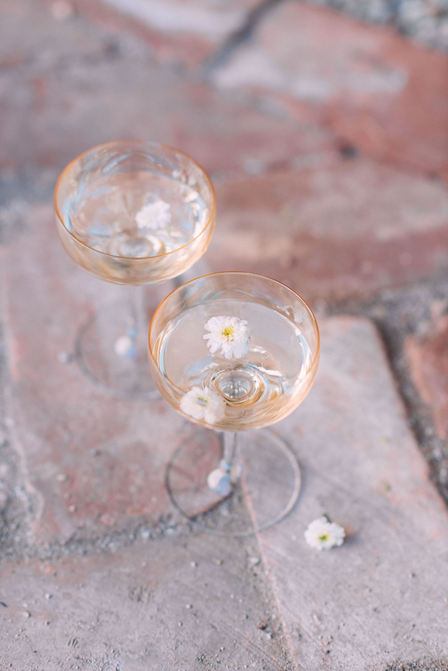 Close-up of champagne glasses with floating daisy flowers on textured surface.
