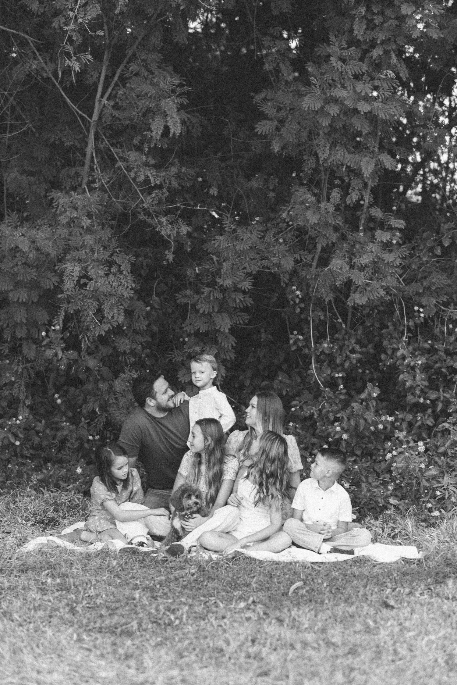A black and white photo series shows a family relaxing together on a grassy hillside during a casual outdoor gathering.
