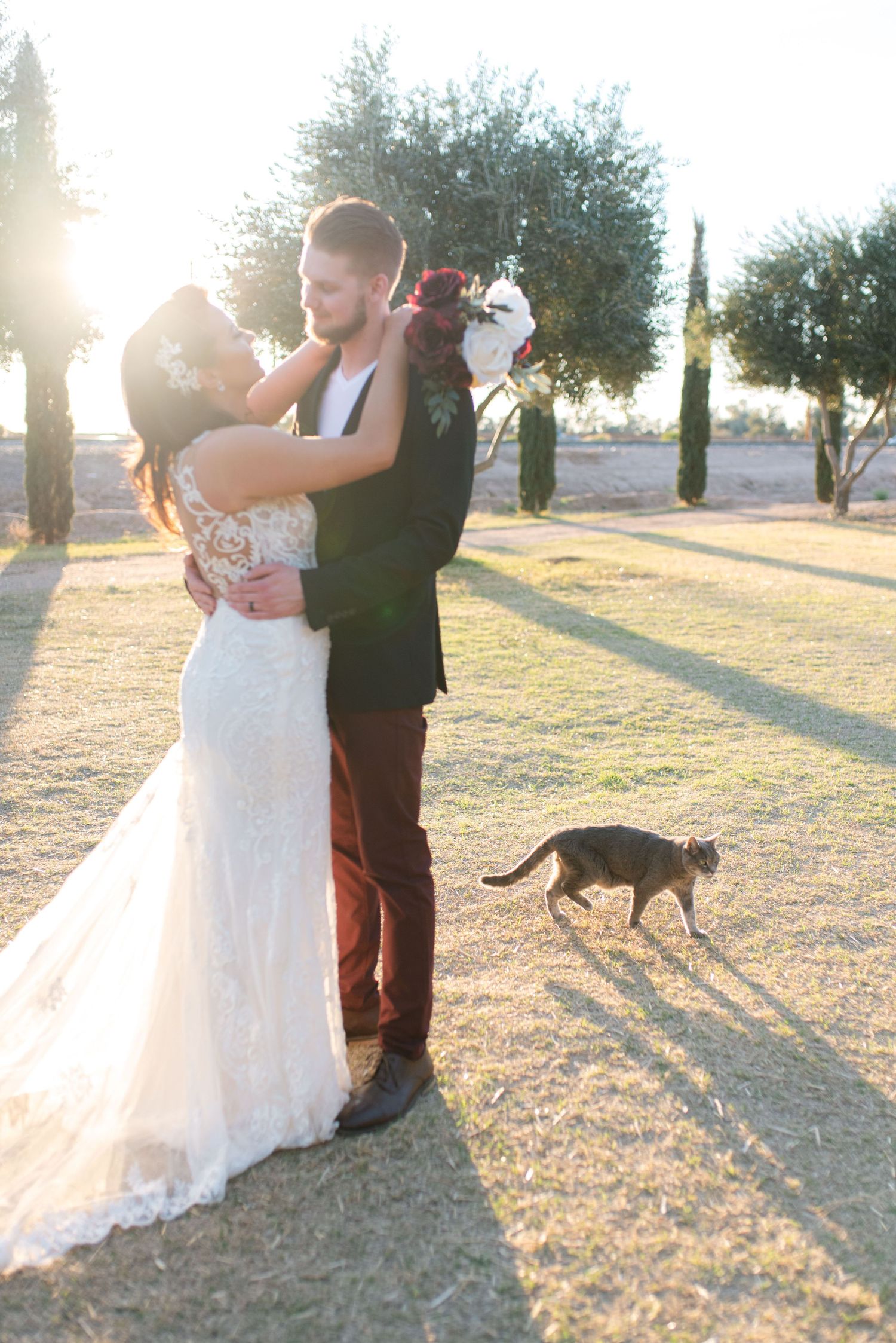 Romantic sunset wedding portraits with couple and cat in outdoor setting.