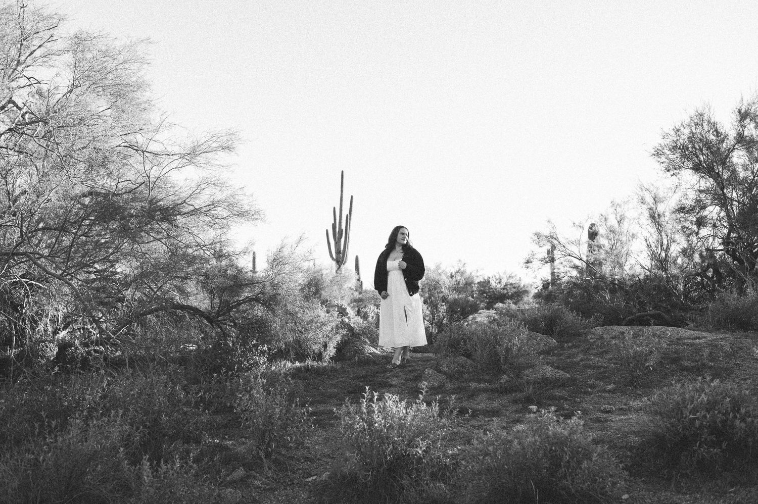A series of black and white landscape photographs showing desert terrain with cacti and trees in silhouette.