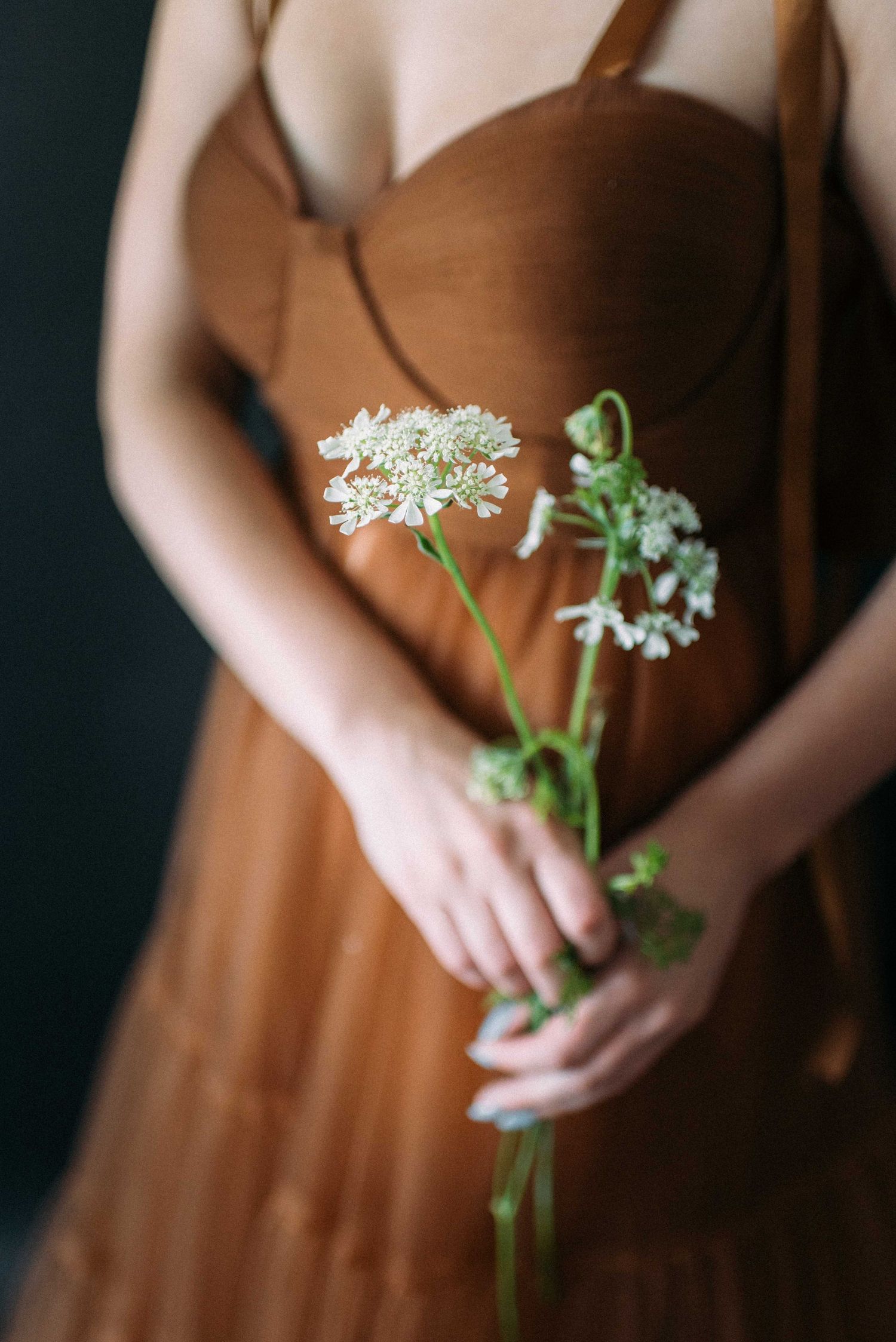 Close-up of hands holding delicate white Queen Anne's lace flowers against a brown dress.