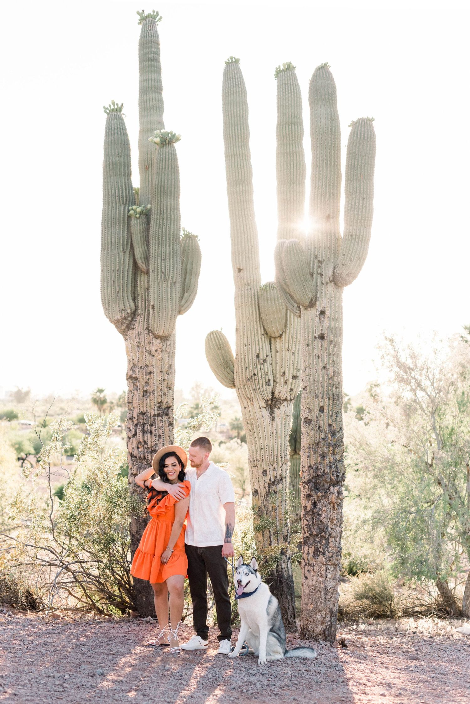 Two people and a dog stand among tall saguaro cacti in a desert landscape with sunlight filtering through the scene.
