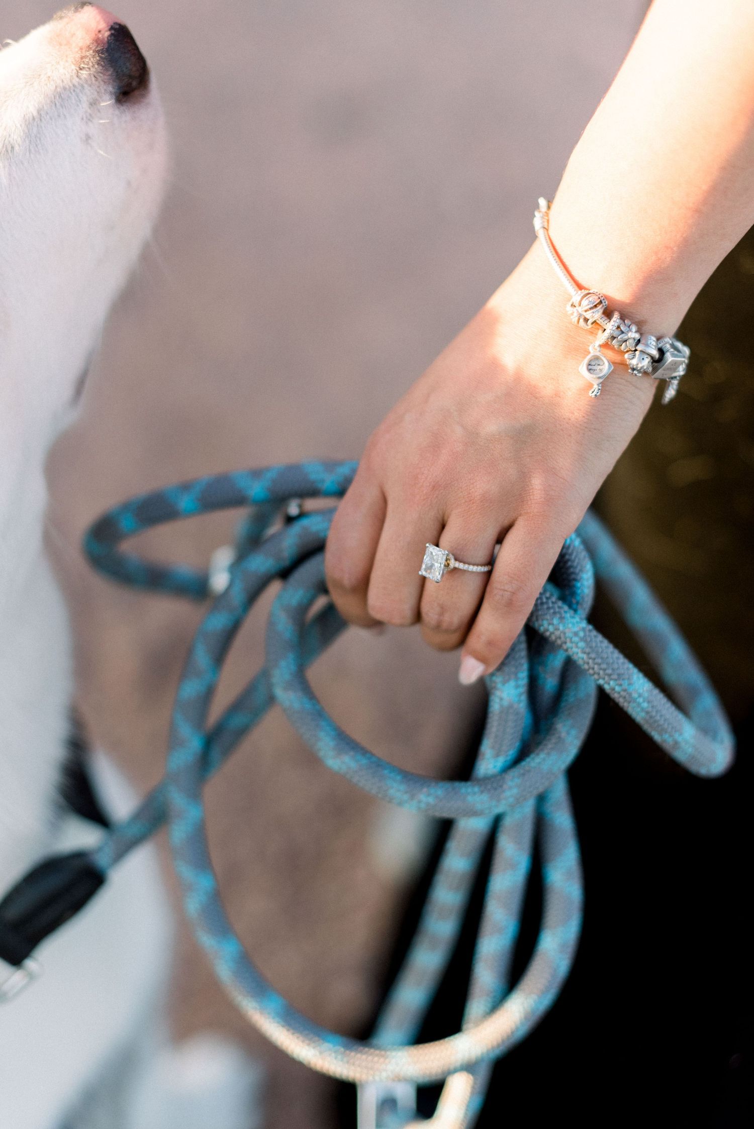 Close-up of a hand wearing engagement ring and charm bracelet holding a blue dog leash.