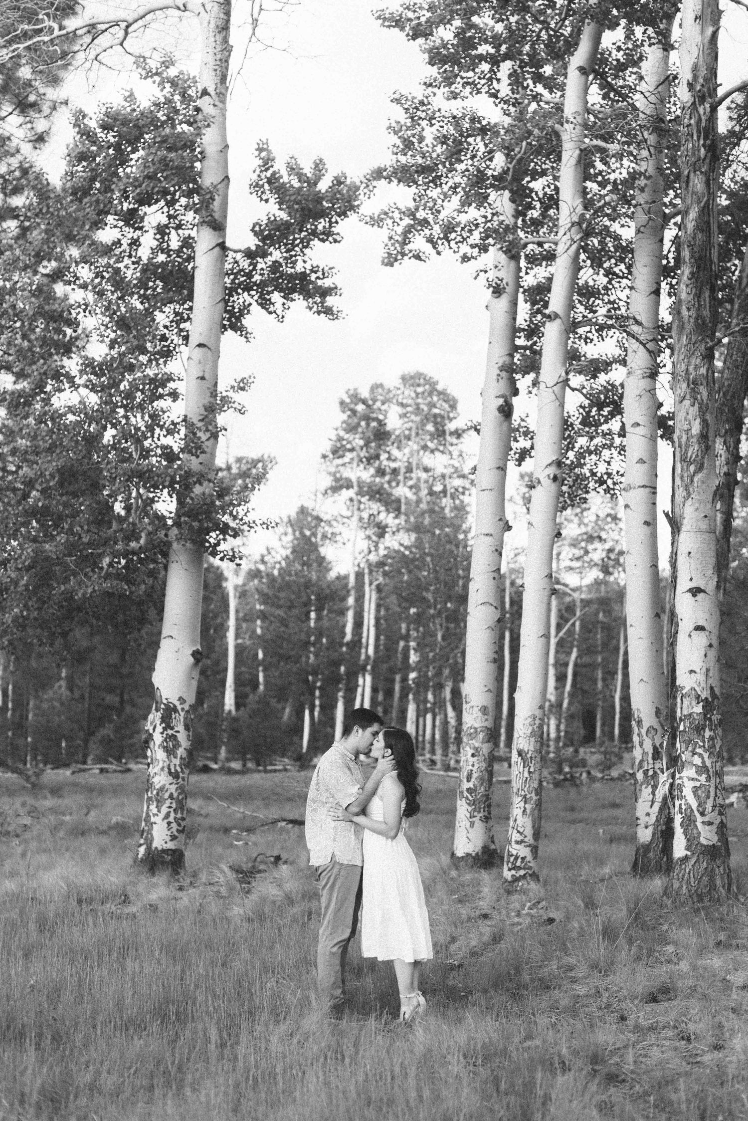 Black and white photograph of romantic embrace among tall birch trees in forest.