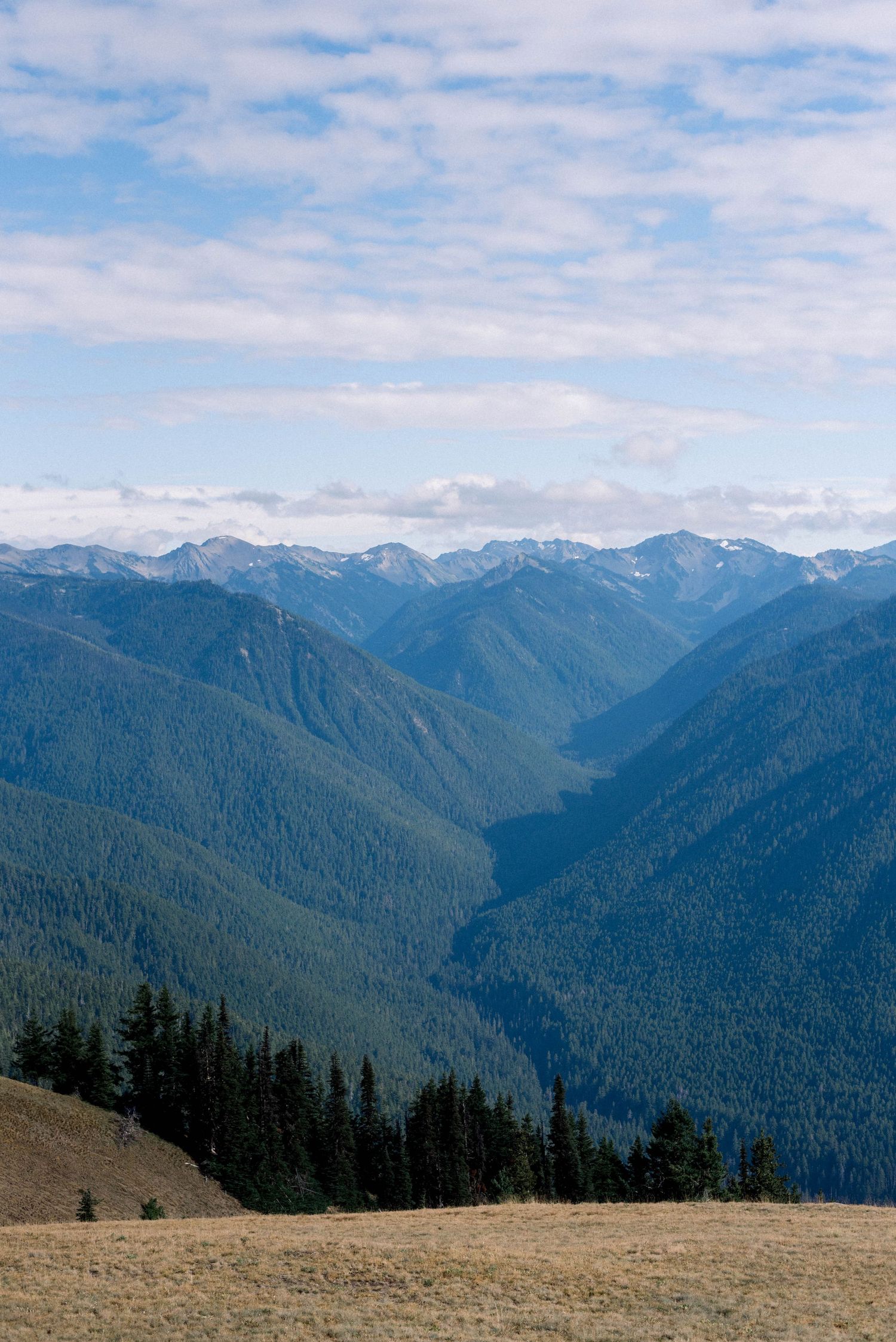 Sweeping mountain vista with layered peaks and valleys under wispy clouds in Olympic National Park.