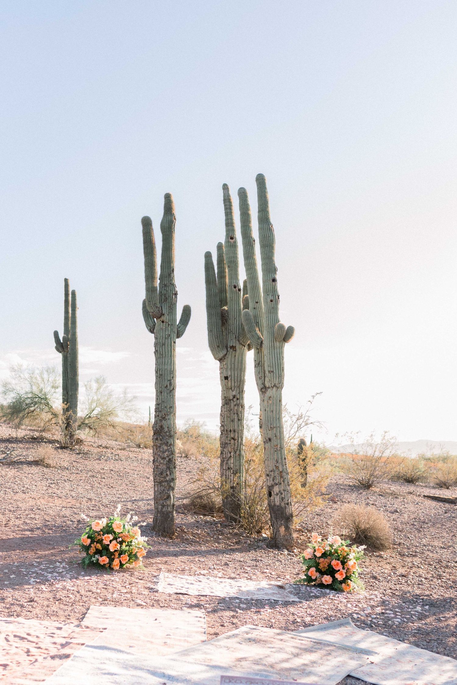 Desert landscape with saguaro cacti and floral arrangements in the foreground.