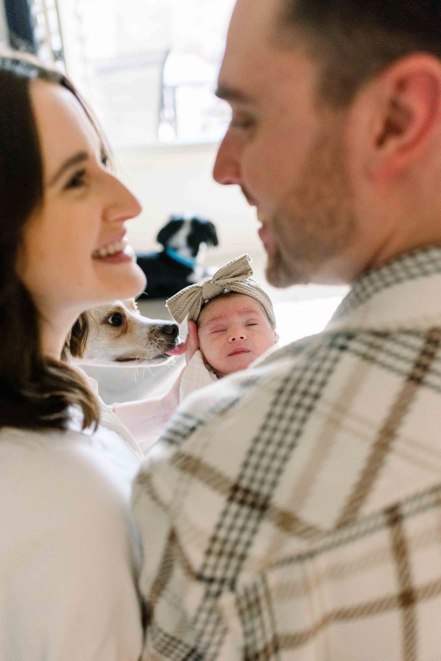 A newborn baby wearing a white bow is cradled between a couple with their dog peeking into the scene.