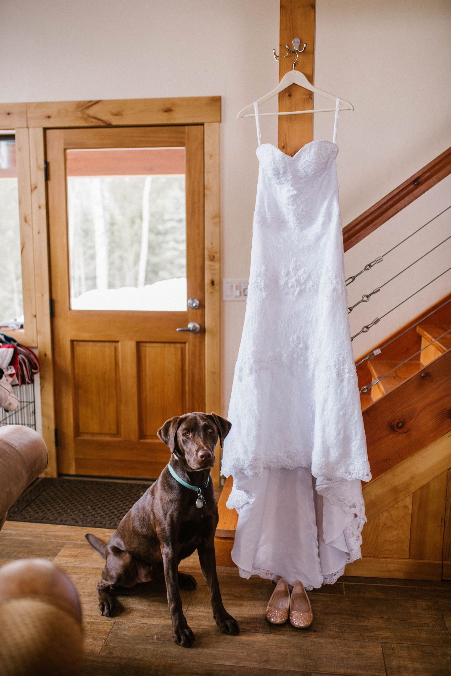 Wedding dress displayed on hanger with chocolate lab dog sitting beside it in rustic interior.