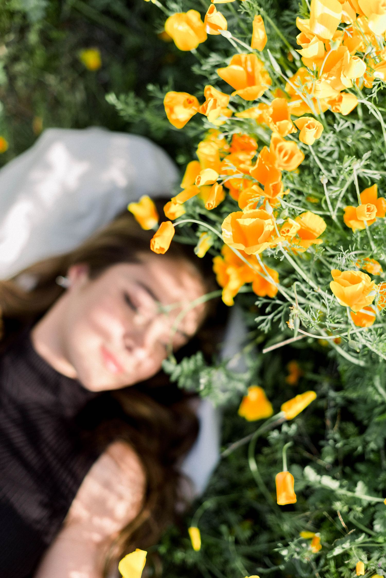 Orange poppies frame a dreamy portrait in a wildflower field.
