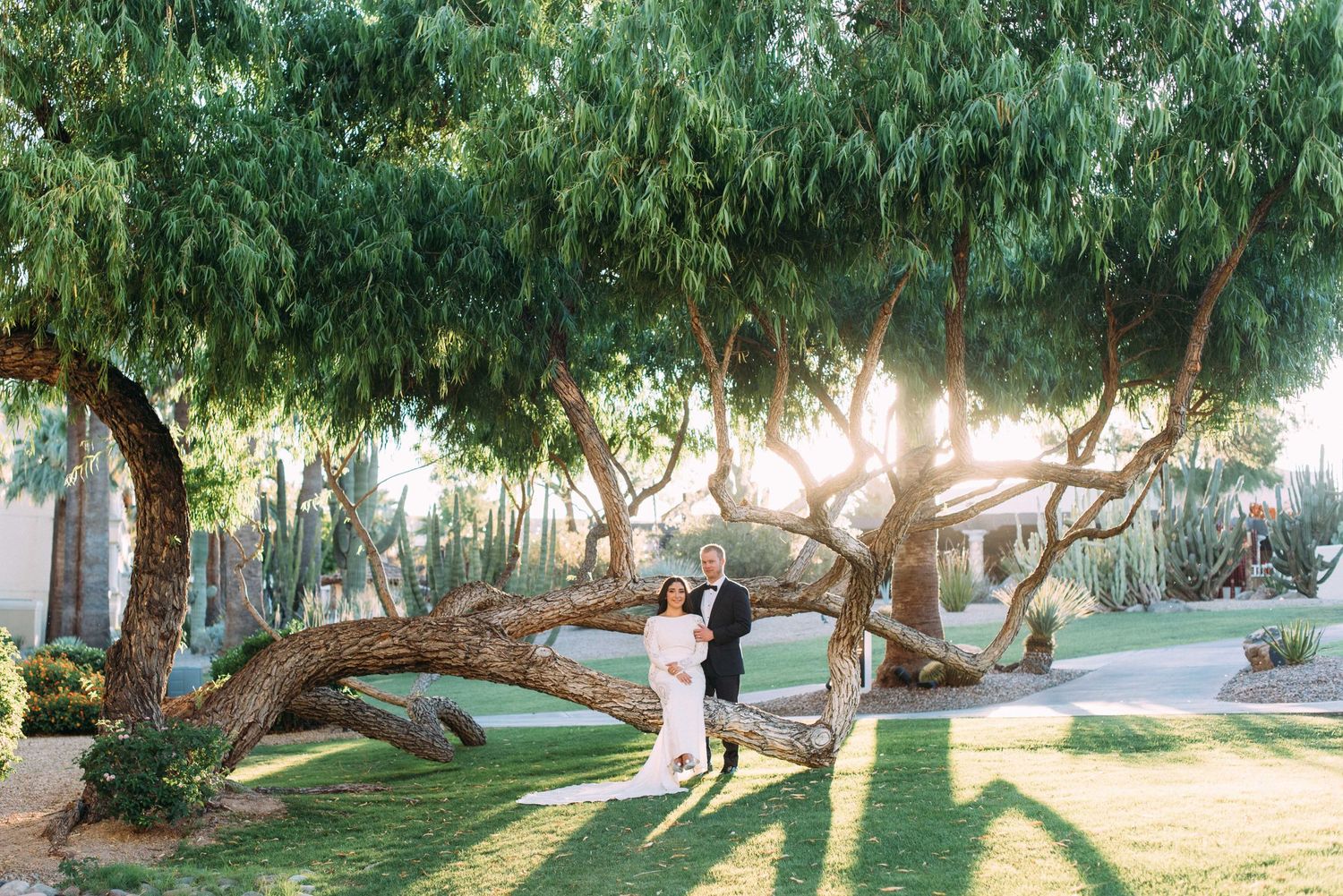 Sunlit garden wedding photo with couple standing beneath curved tree branch.