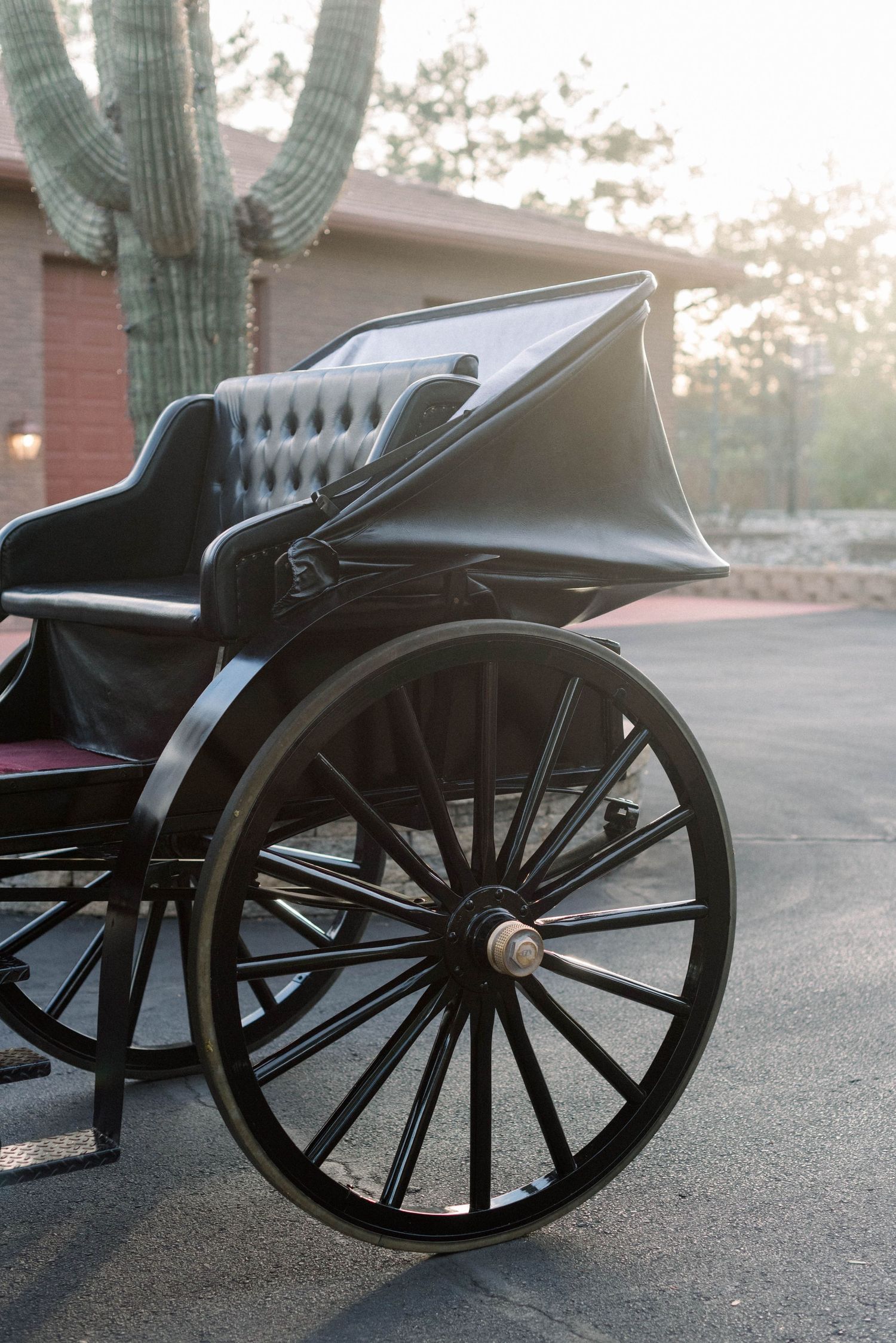 Close-up view of an elegant black vintage carriage wheel against a desert backdrop with saguaro cactus.