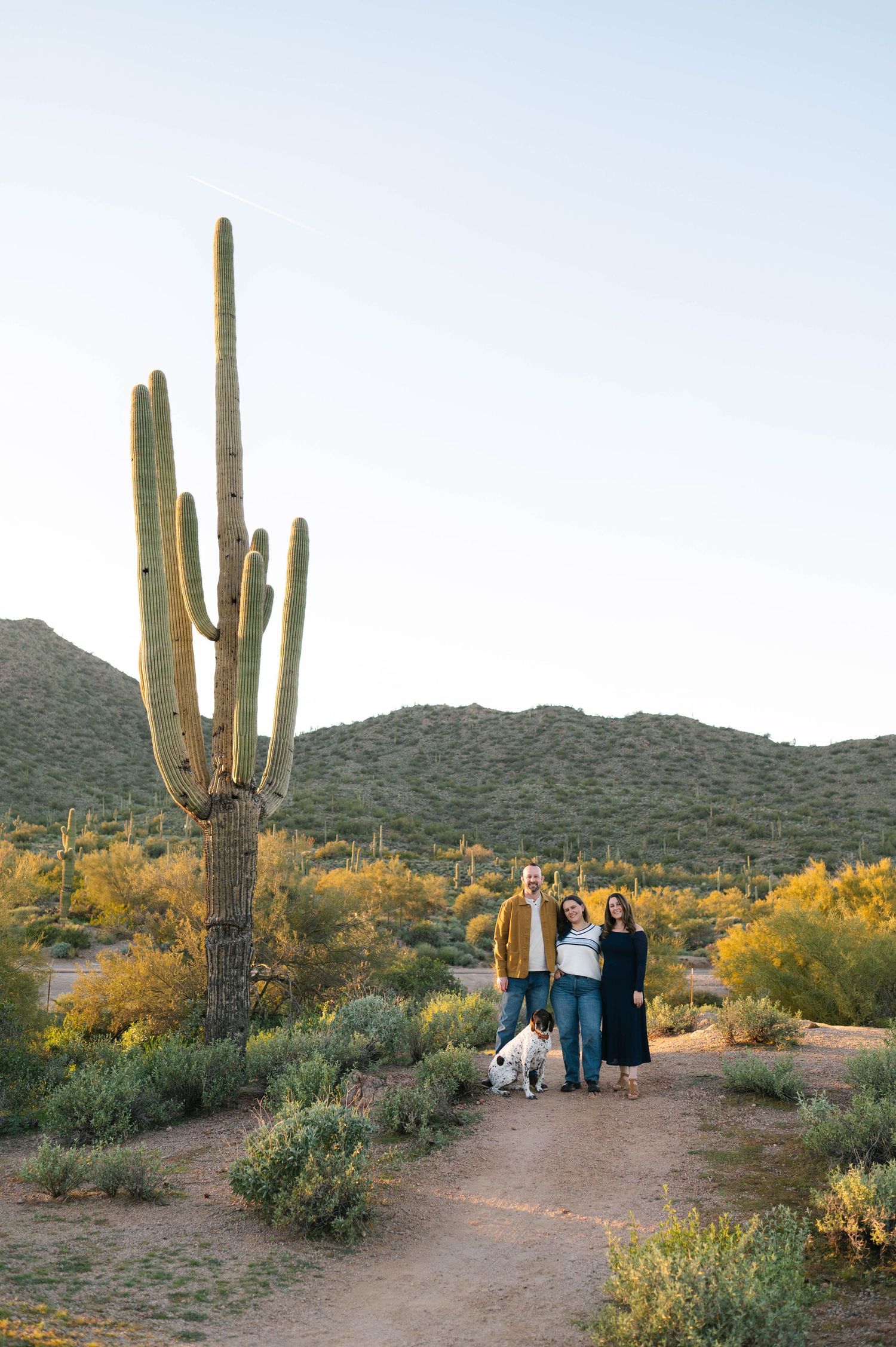 Saguaro cacti stand tall against a clear blue sky in the Arizona desert landscape.