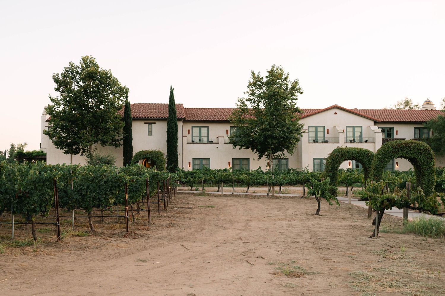 Panoramic view of a vineyard with Mediterranean-style buildings in the background.