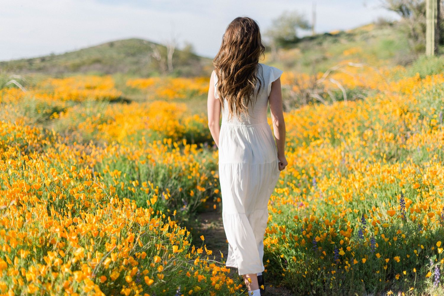 White dress flowing through a stunning field of bright orange poppies in desert landscape.