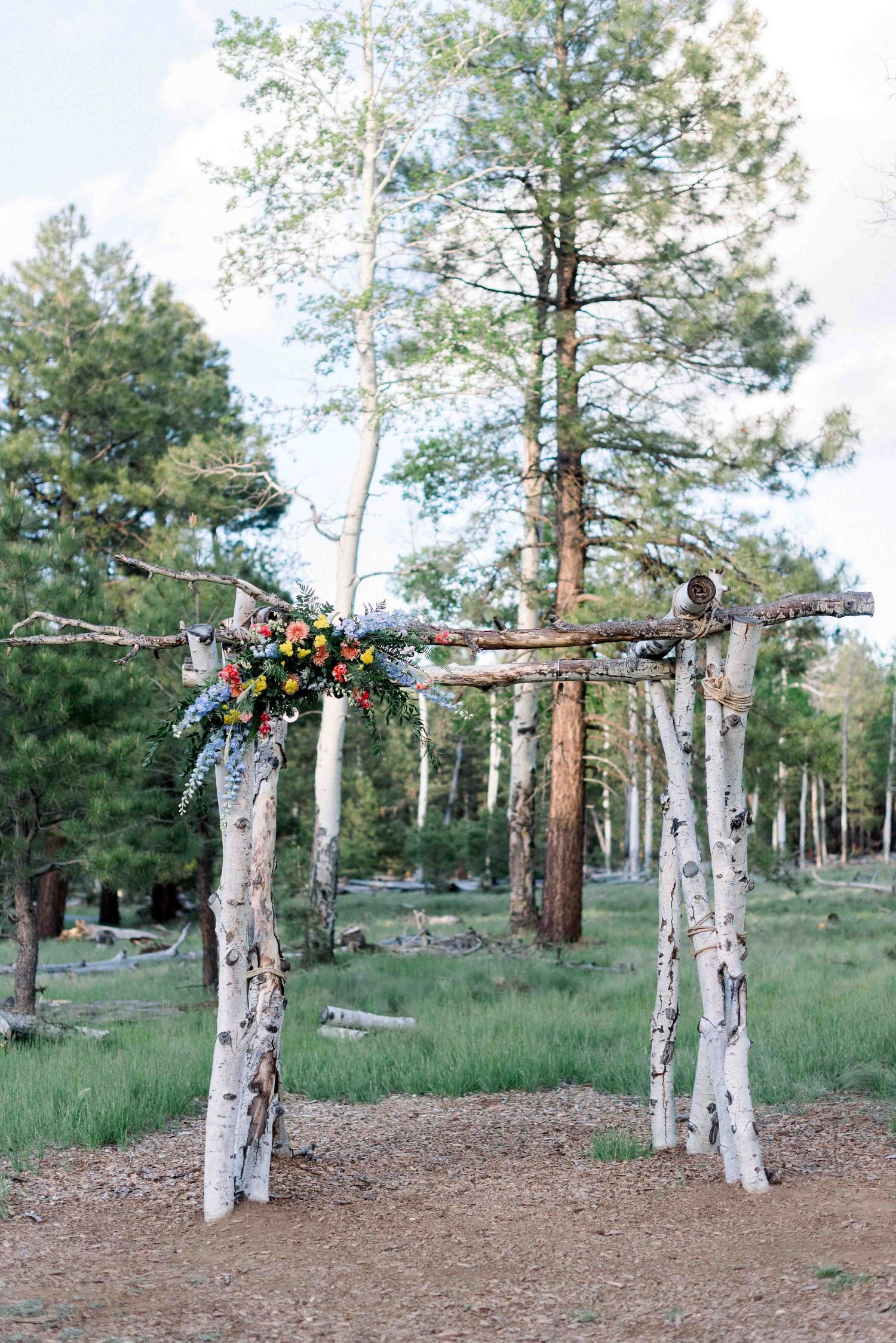 Natural birch wood wedding arch with colorful floral arrangements in a pine forest setting.