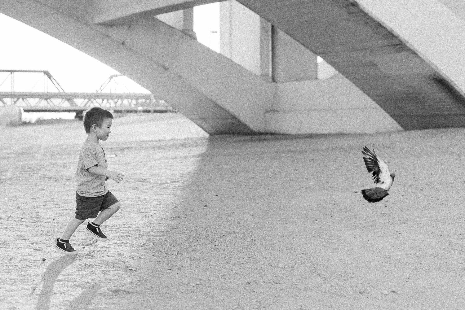 A sequence of black and white photos showing a skateboarder performing an ollie trick under a concrete bridge.