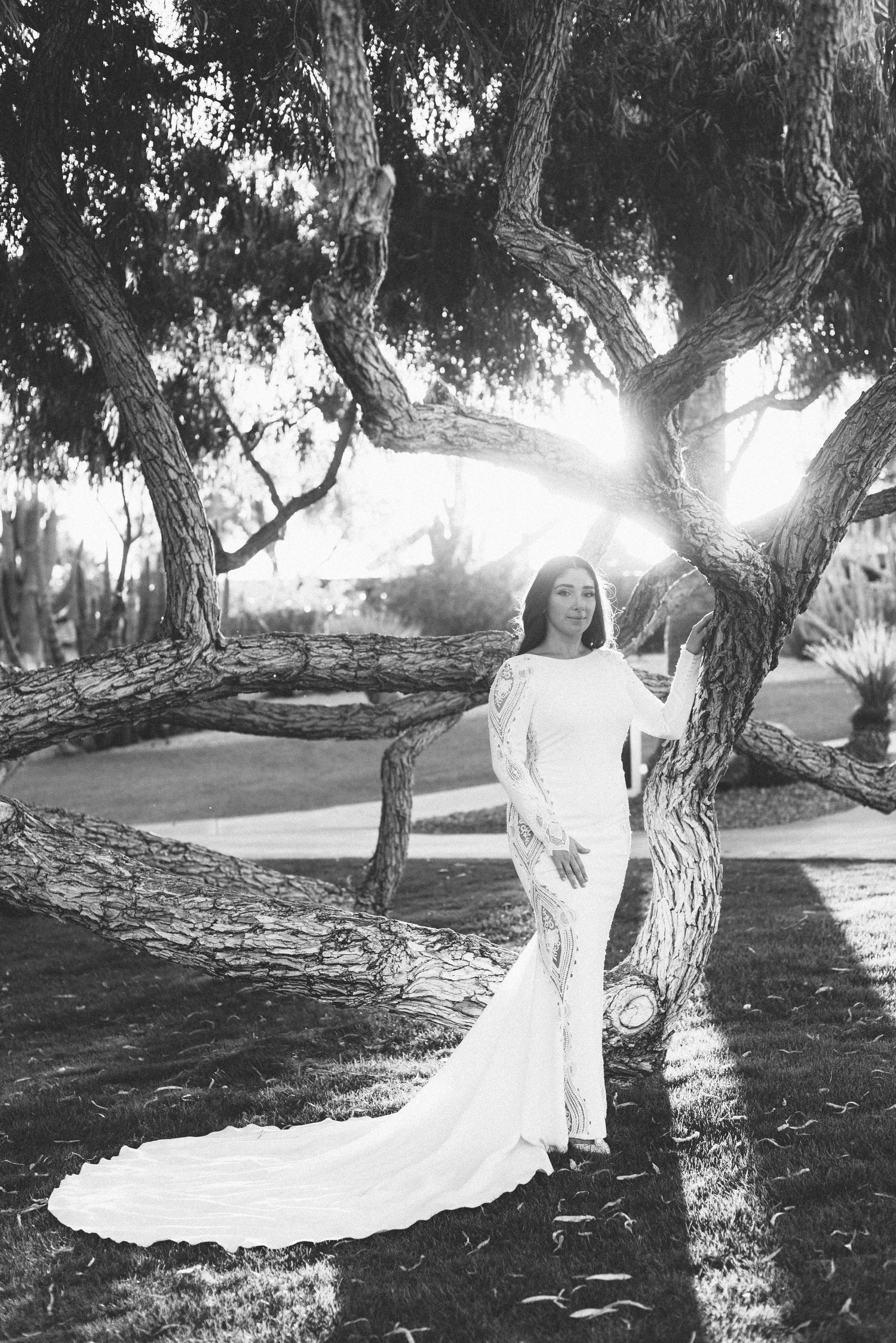 Artistic black and white bridal portrait under a dramatic tree with sunlight filtering through.