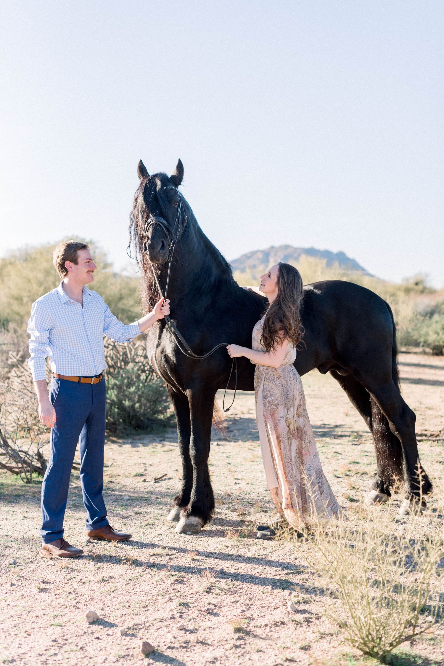 Engaged couple poses with majestic black horse in desert landscape setting.