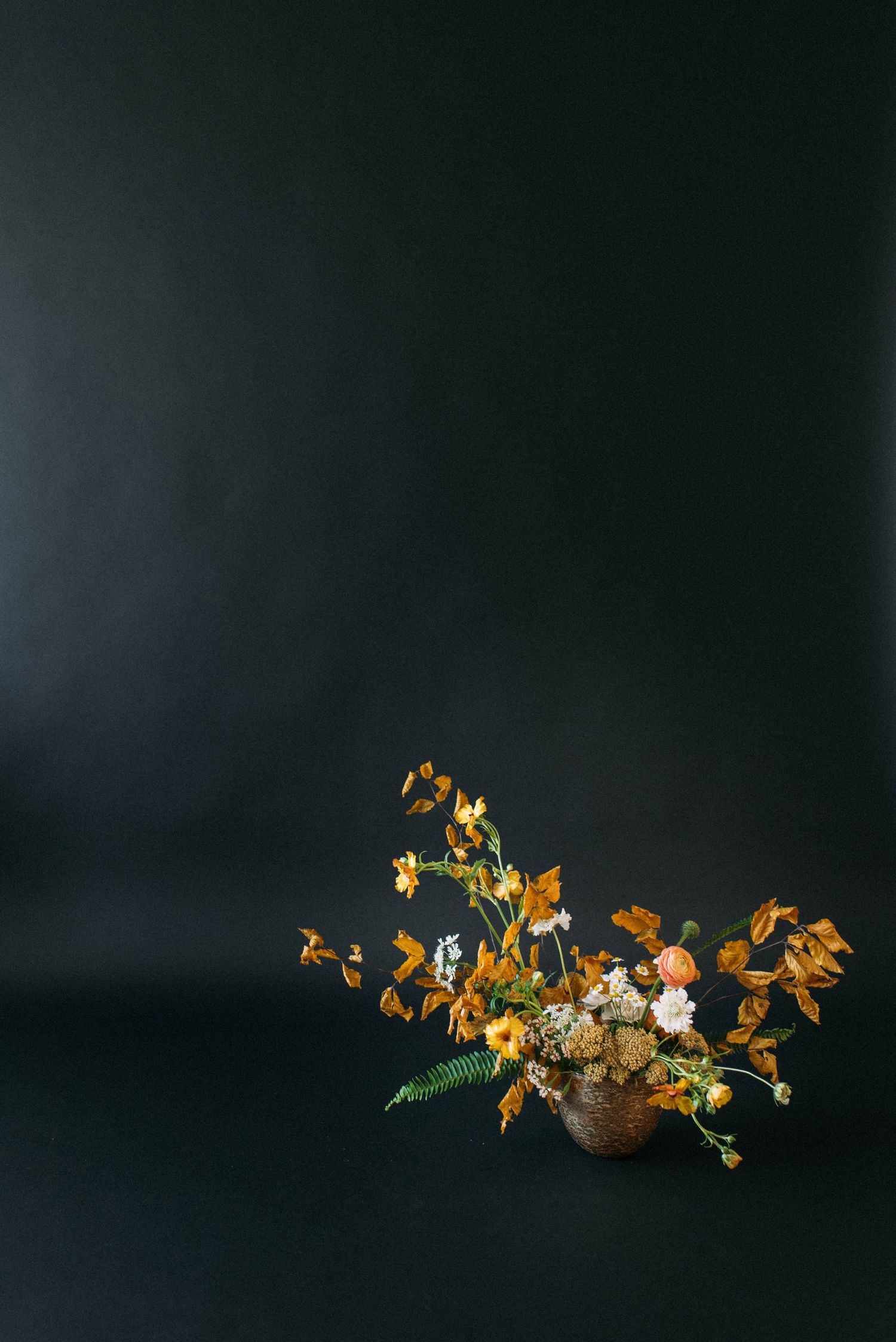 A withered autumn vine with yellow leaves and dried flowers creates a dramatic silhouette against a dark background.